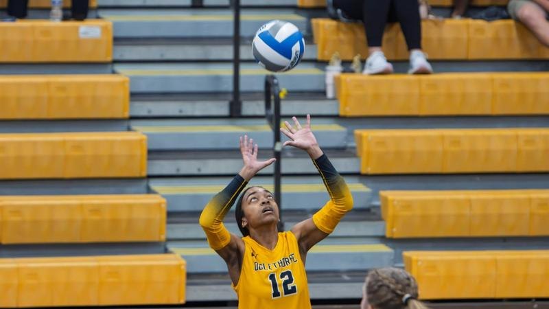 Volleyball player in gold uniform numbered 12 setting a ball overhead.