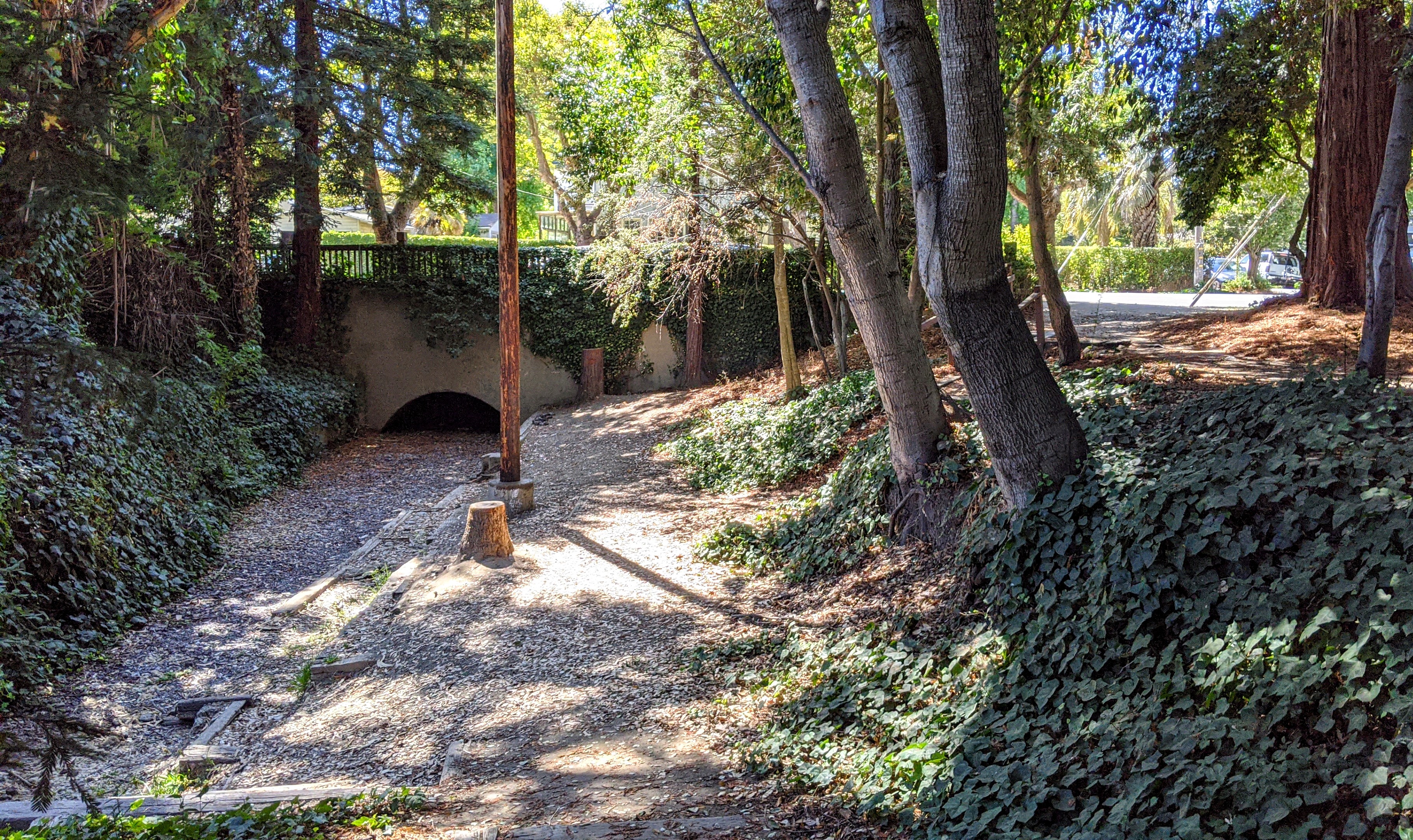 A shaded gravel path winds through a wooded park with tall trees and ivy.