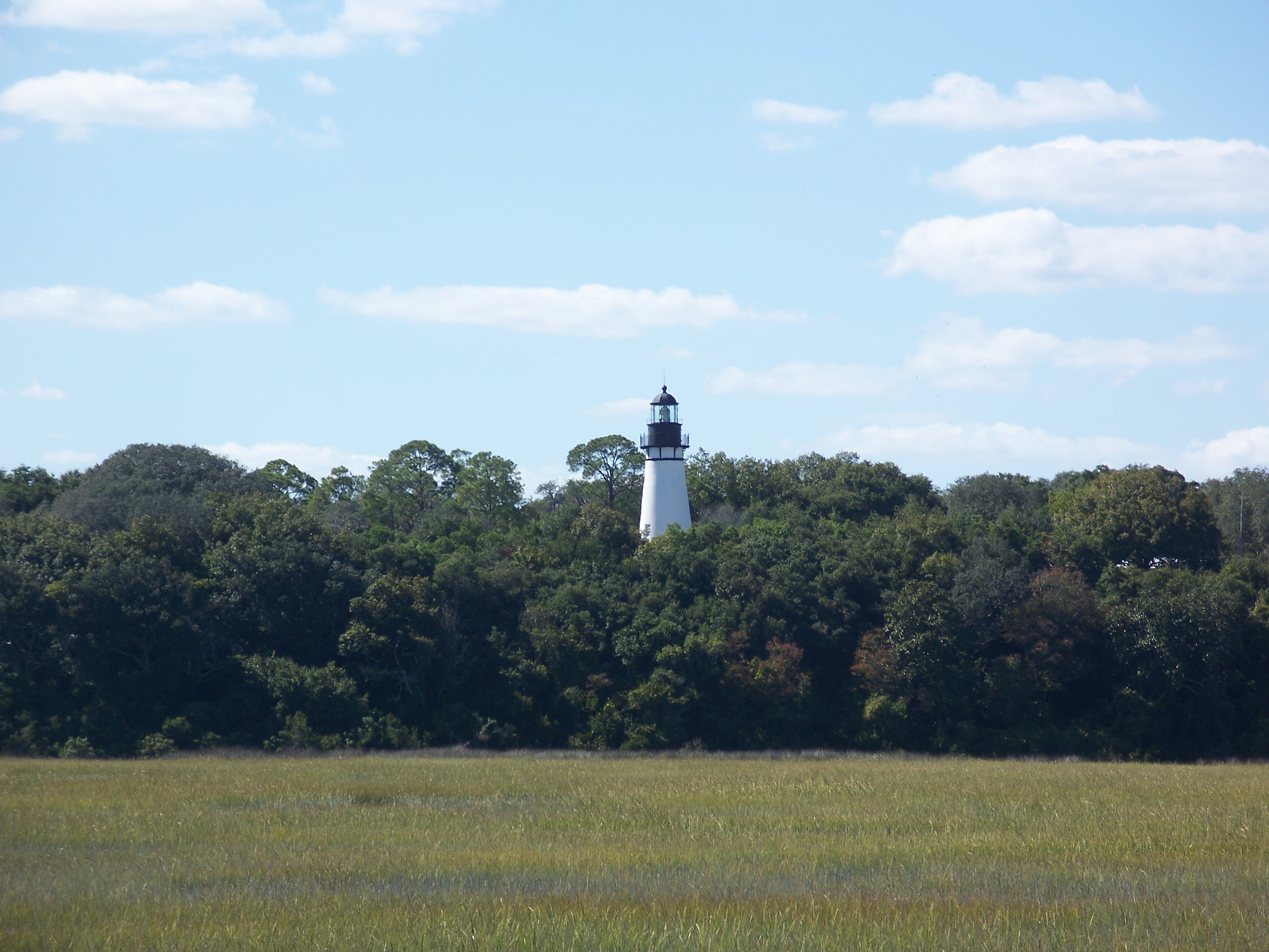 White lighthouse rising above a tree line, viewed across a flat grassy marsh.