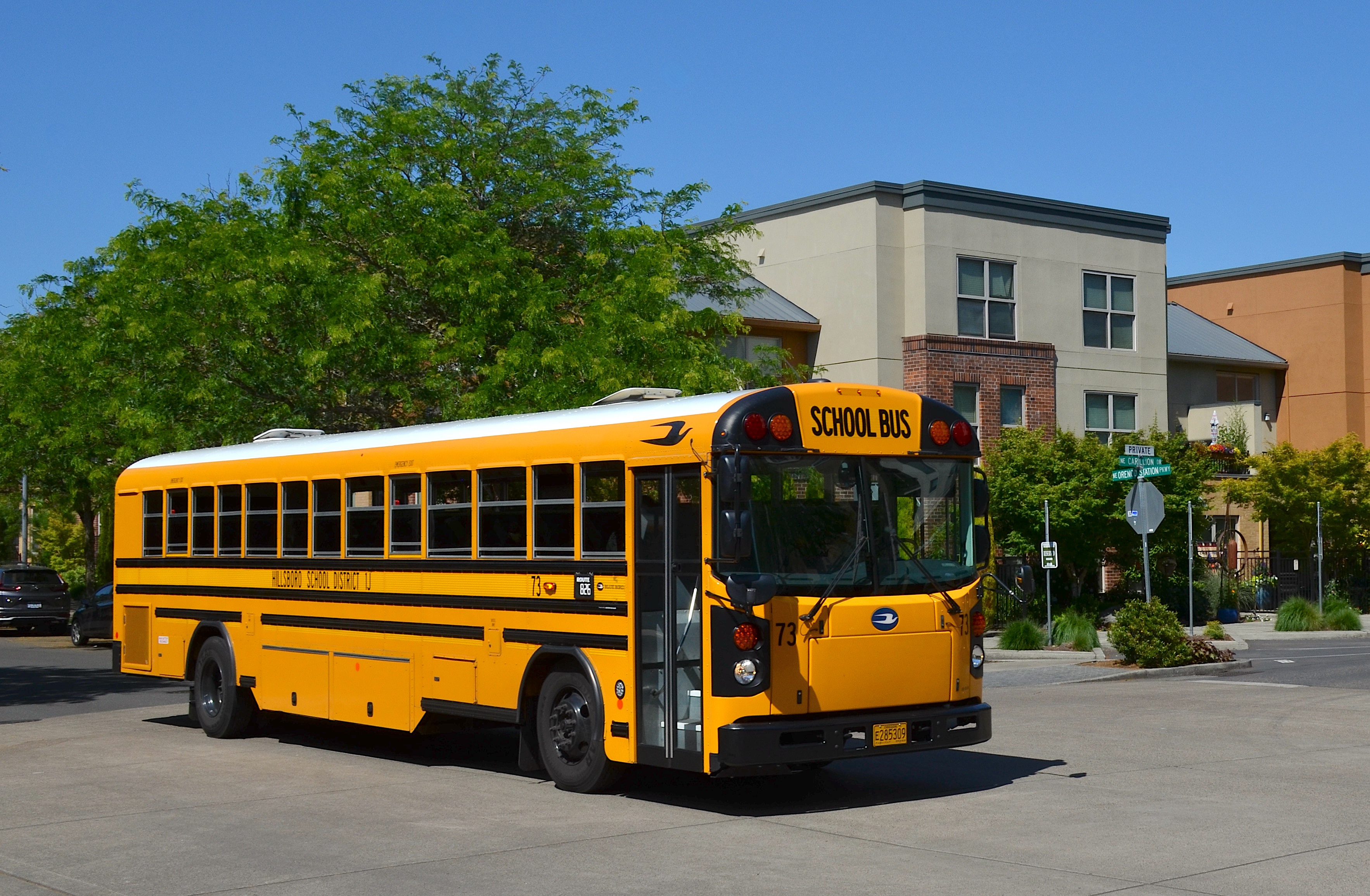 Yellow school bus numbered 73 traveling on a sunny street past trees and a building.