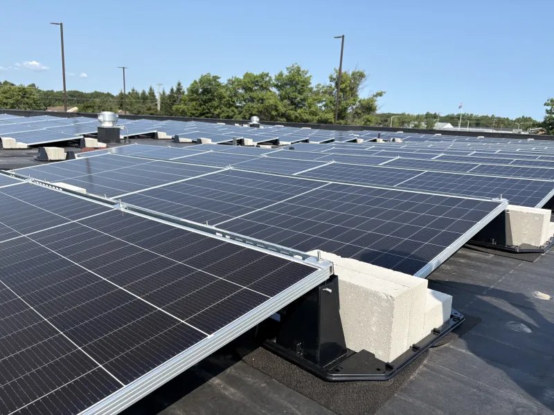 Rows of bifacial solar panels on a flat rooftop under a clear blue sky.
