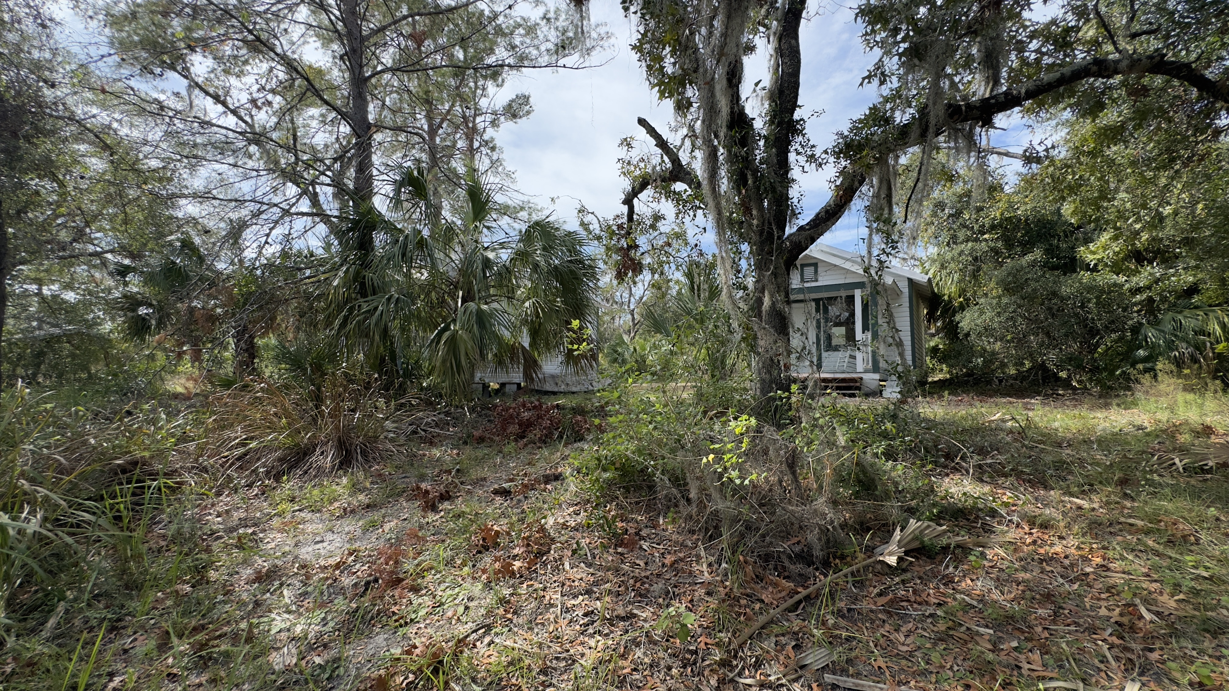 Downed branches and storm debris around a house amid overgrown trees after a hurricane.