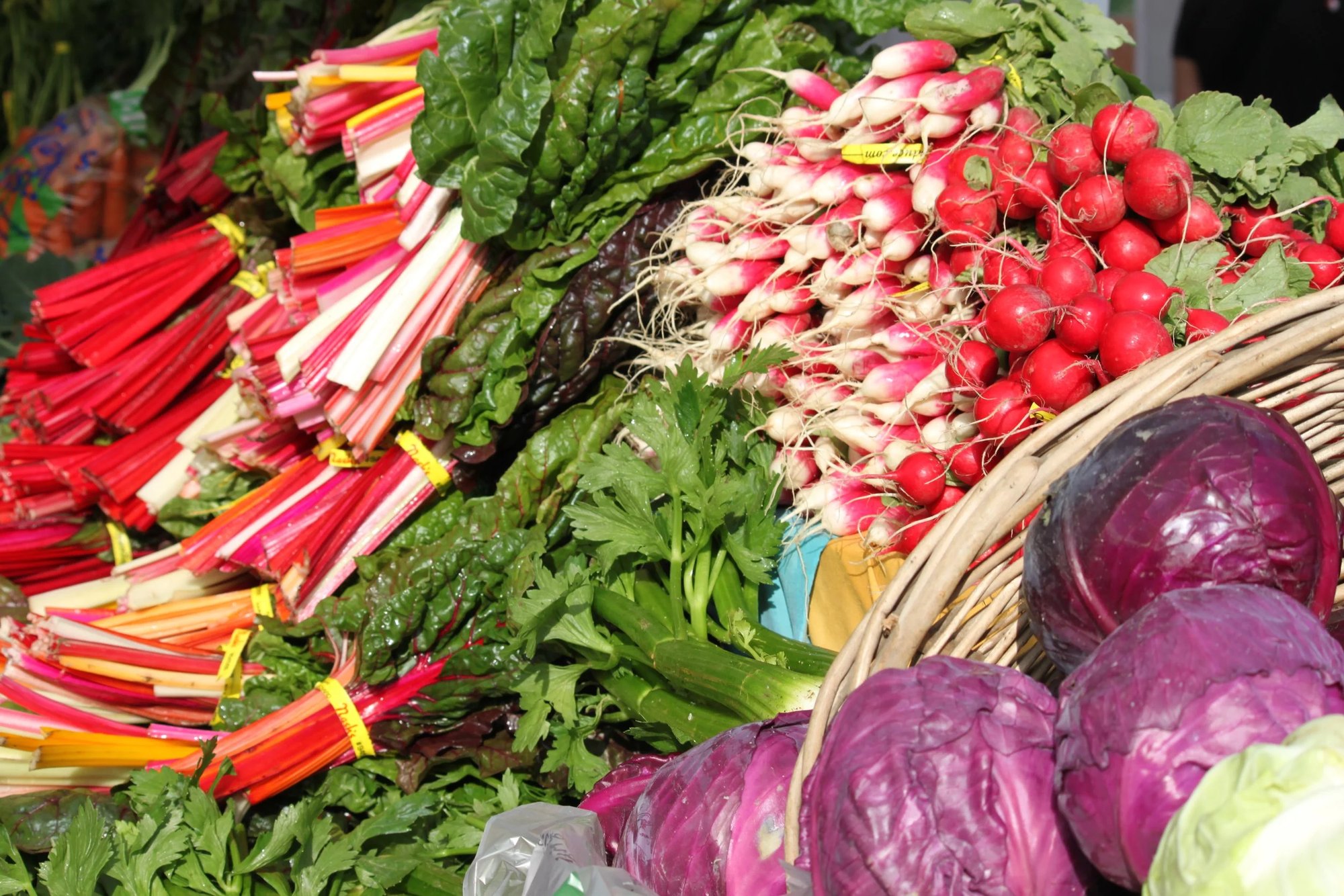 Bundles of radishes, Swiss chard, and red cabbage arranged at an outdoor market stall.