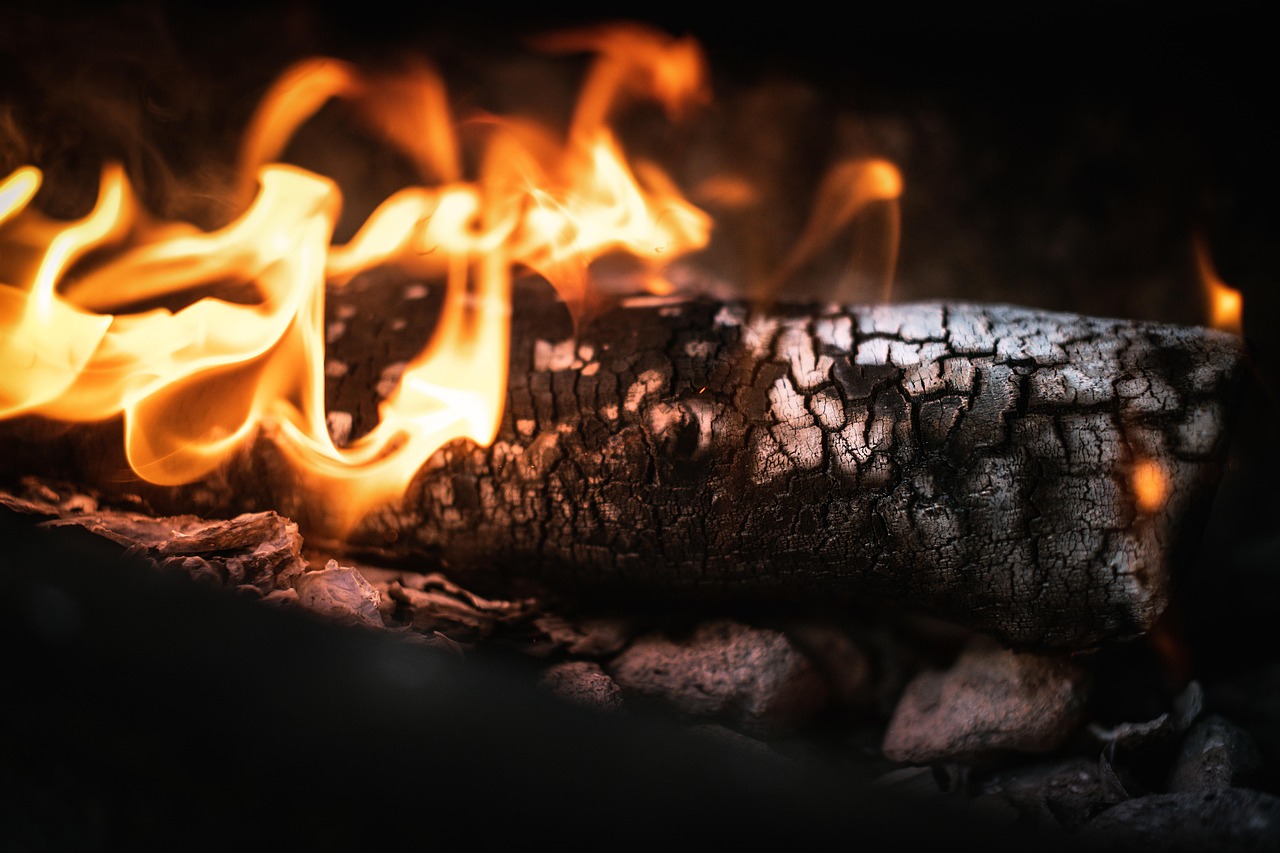 Fire, log, hot, burn, burning, on fire, bbq, warm, fire, hot, bbq, bbq, bbq, bbq, bbq