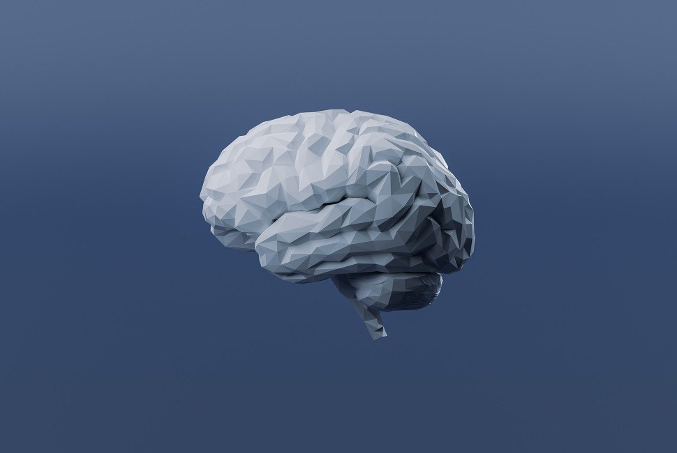 Low-polygon 3D rendering of a human brain against a dark blue background.