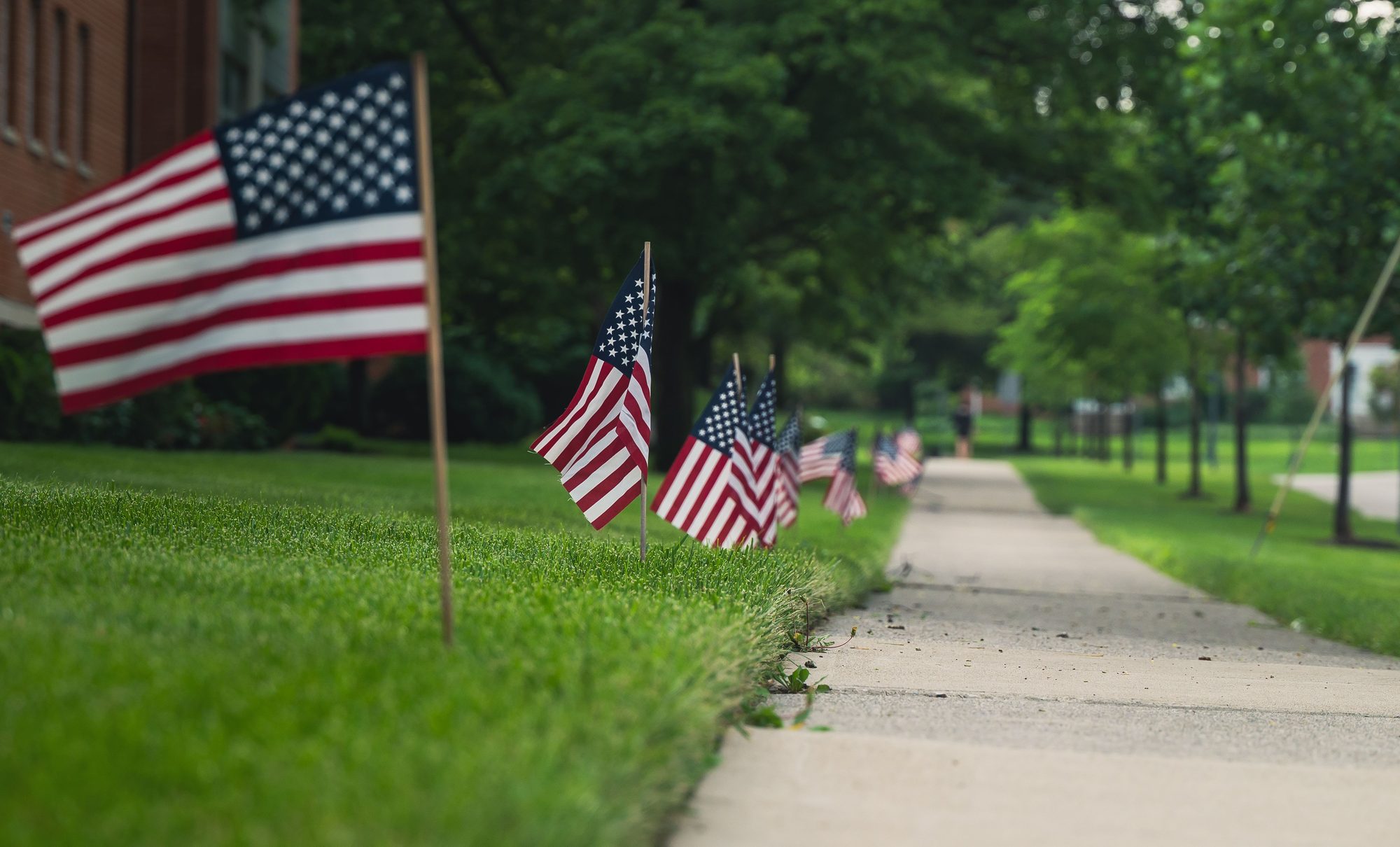 American flags on a grass lawn beside an urban sidewalk, symbolizing patriotism.