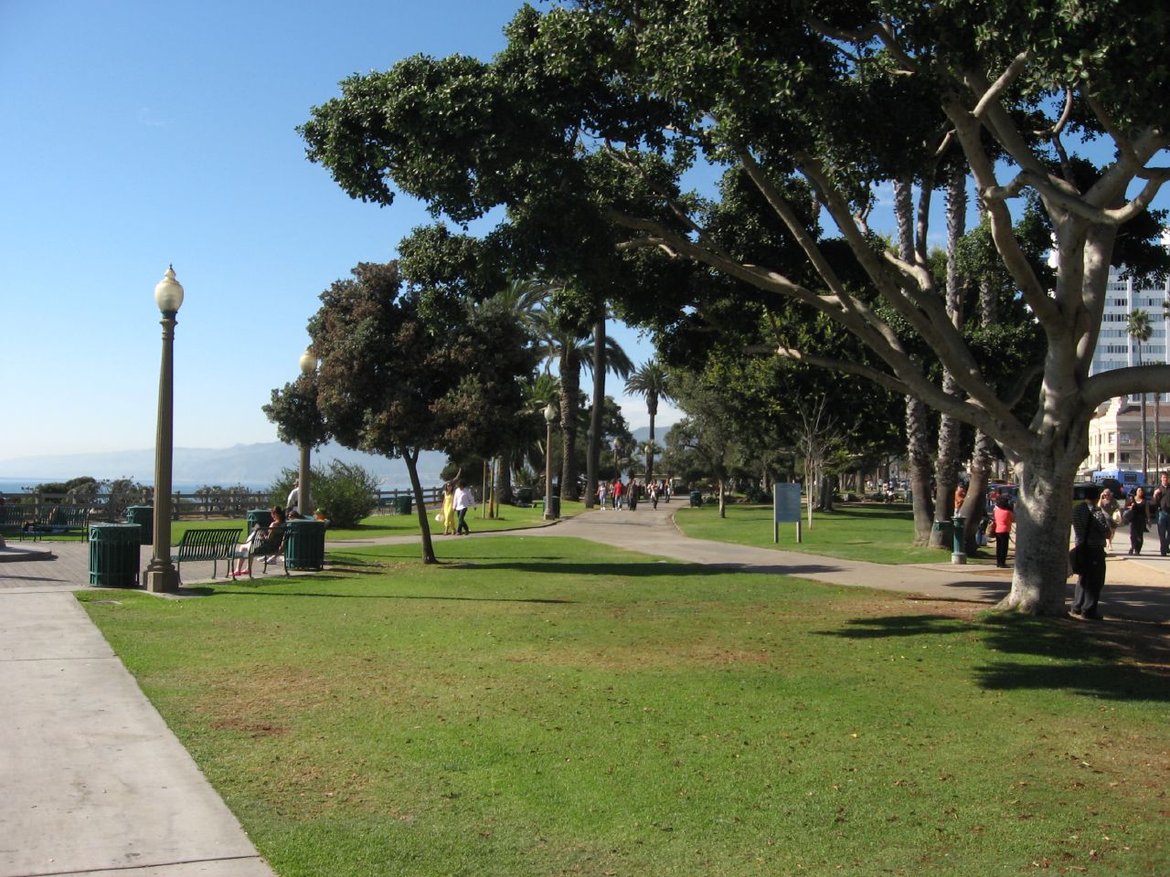 Sunny park with green grass, mature trees, walking paths, and benches along a coastal bluff.