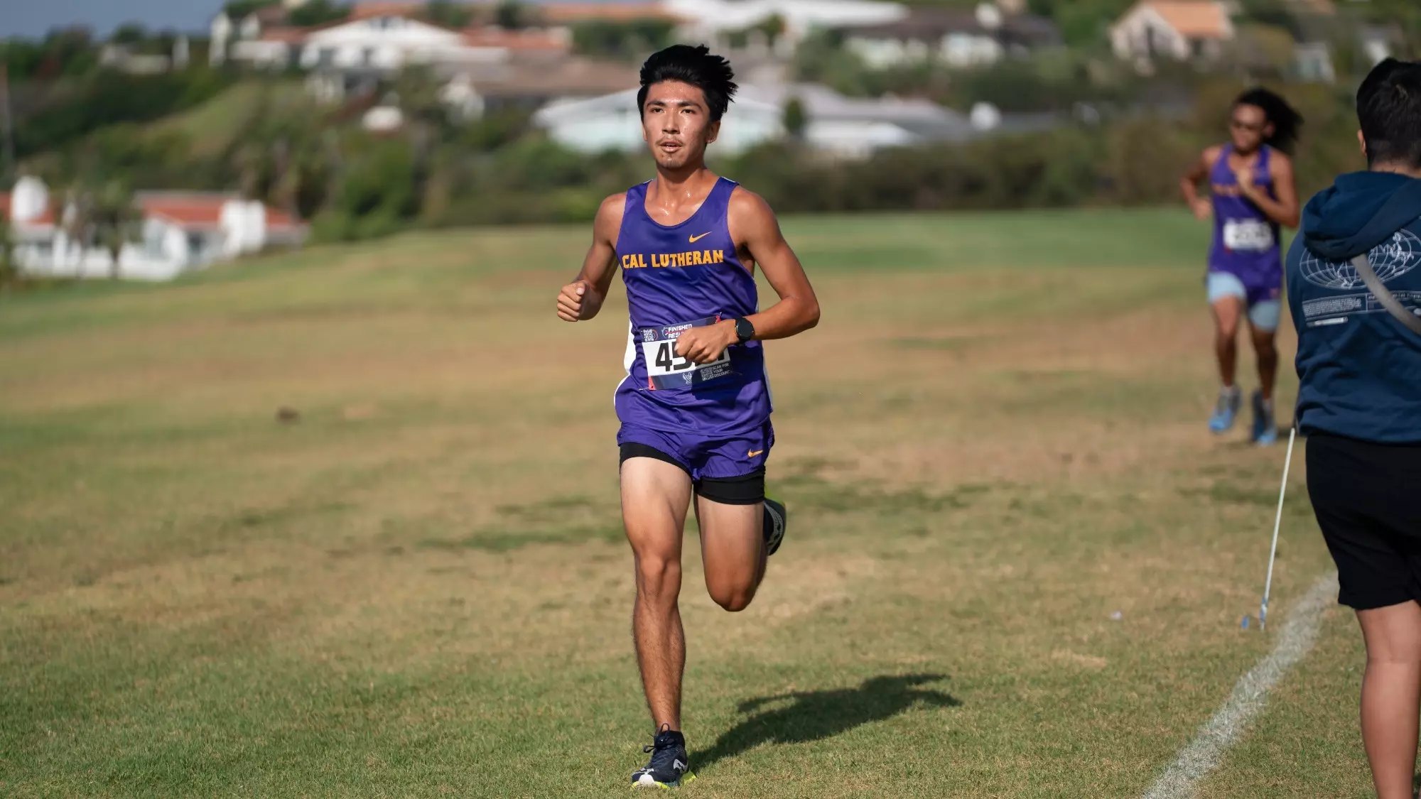 A male runner in a purple uniform with bib number 45 races on a grass cross country course.