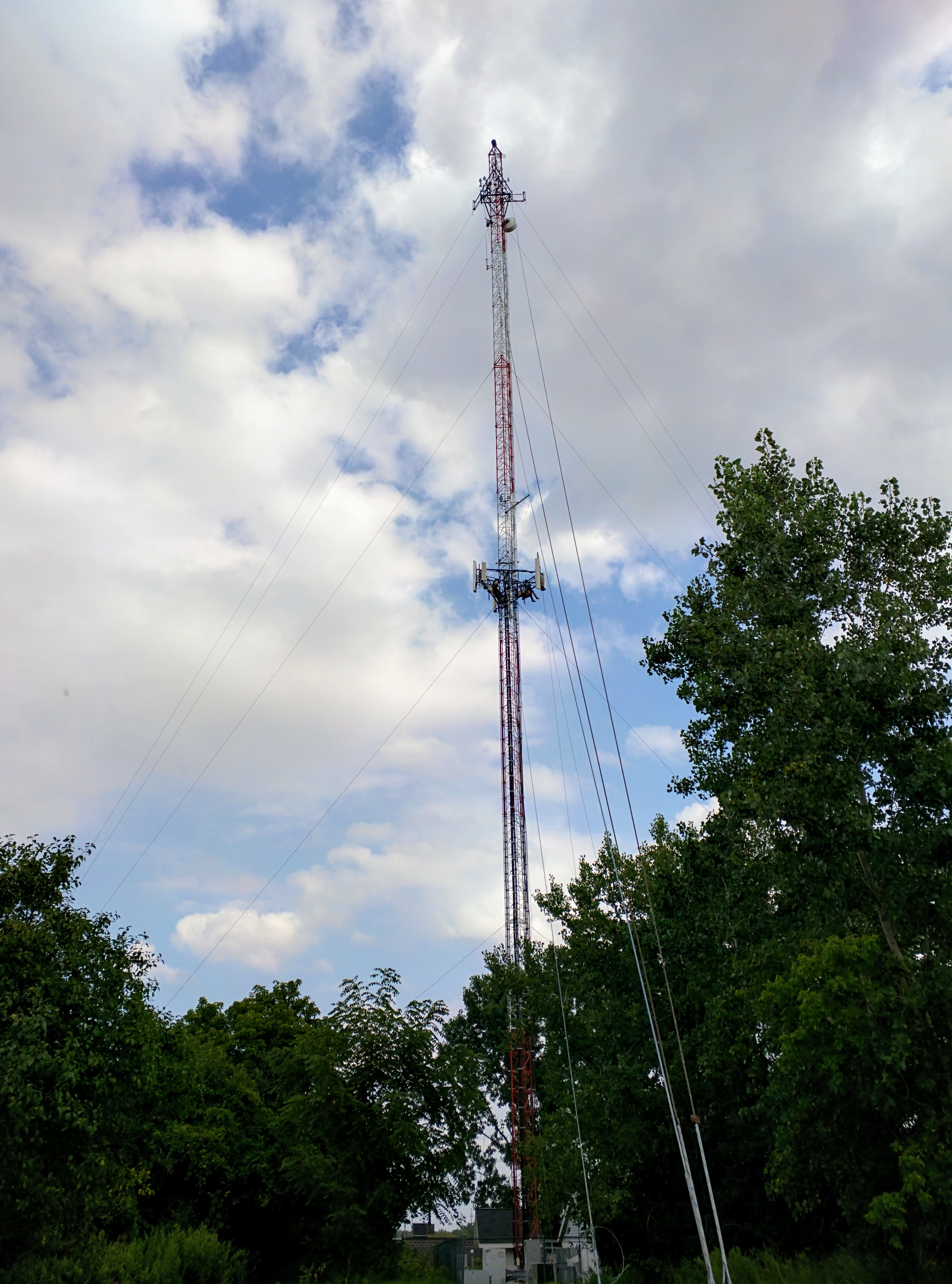 Tall lattice cell tower with panel antennas and a technician near the top, surrounded by trees.