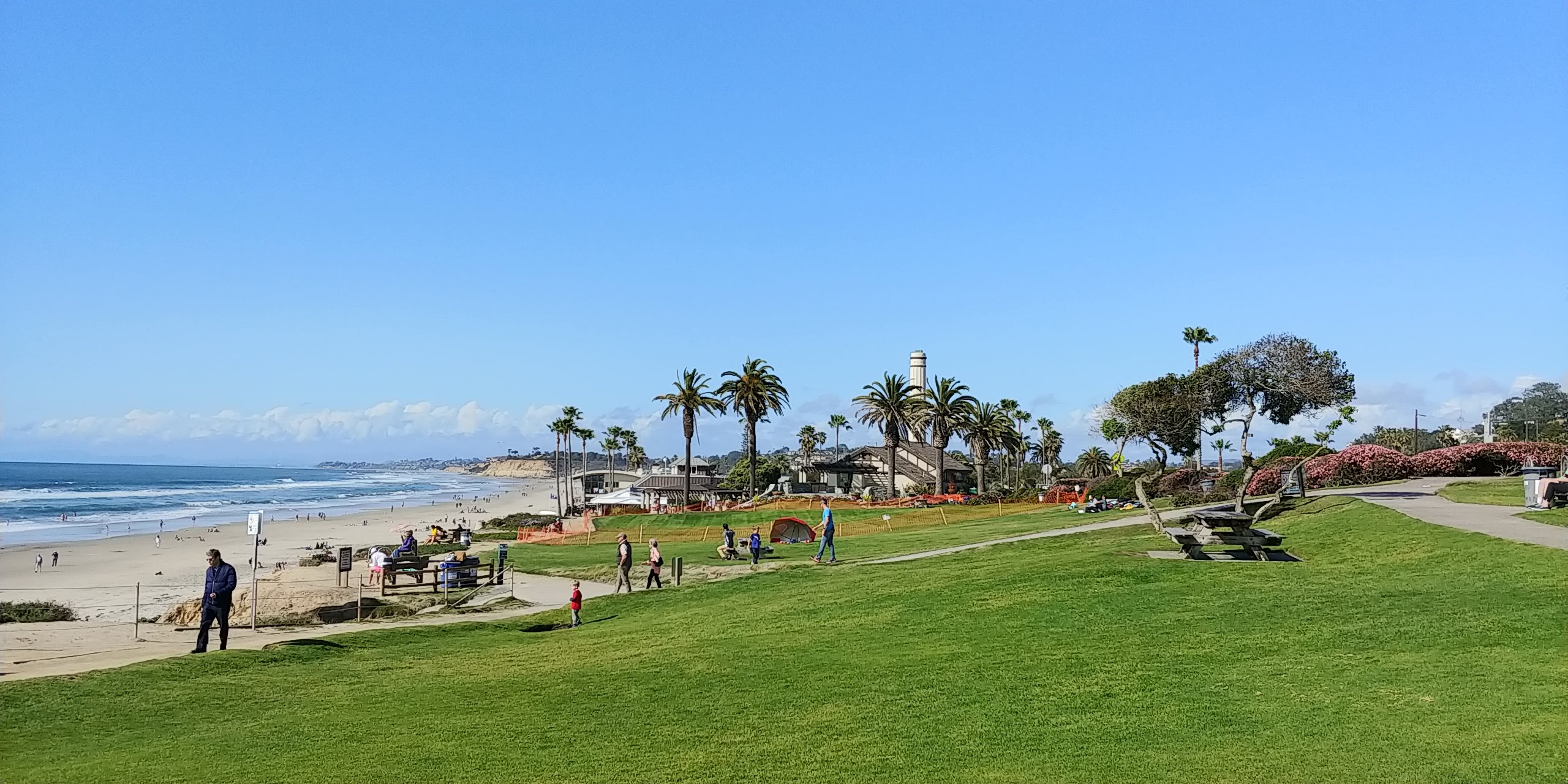 Grassy coastal park with palm trees overlooking a sandy beach and ocean under a clear blue sky.