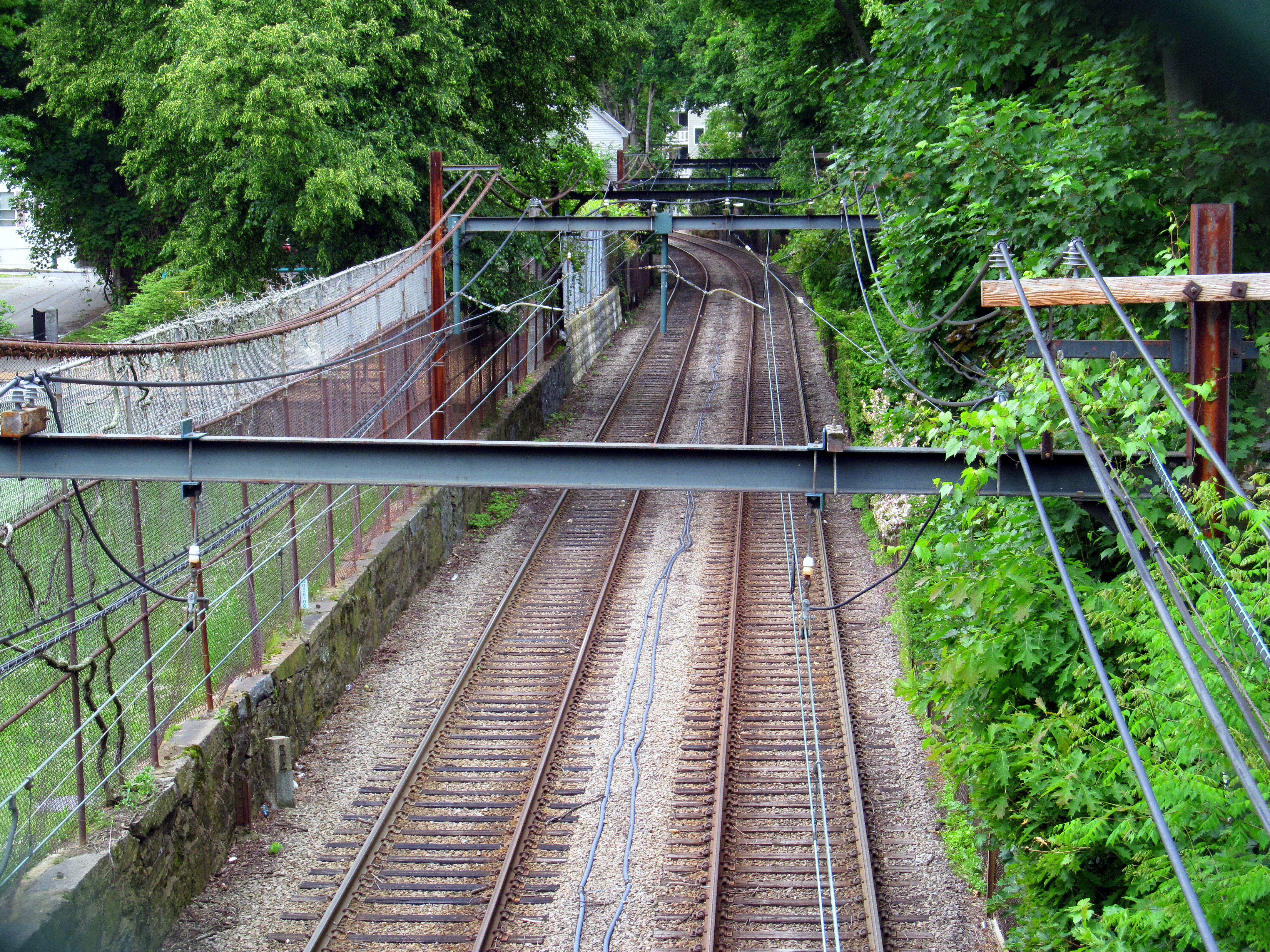 Rail tracks curving through a tree-lined corridor viewed from a footbridge above