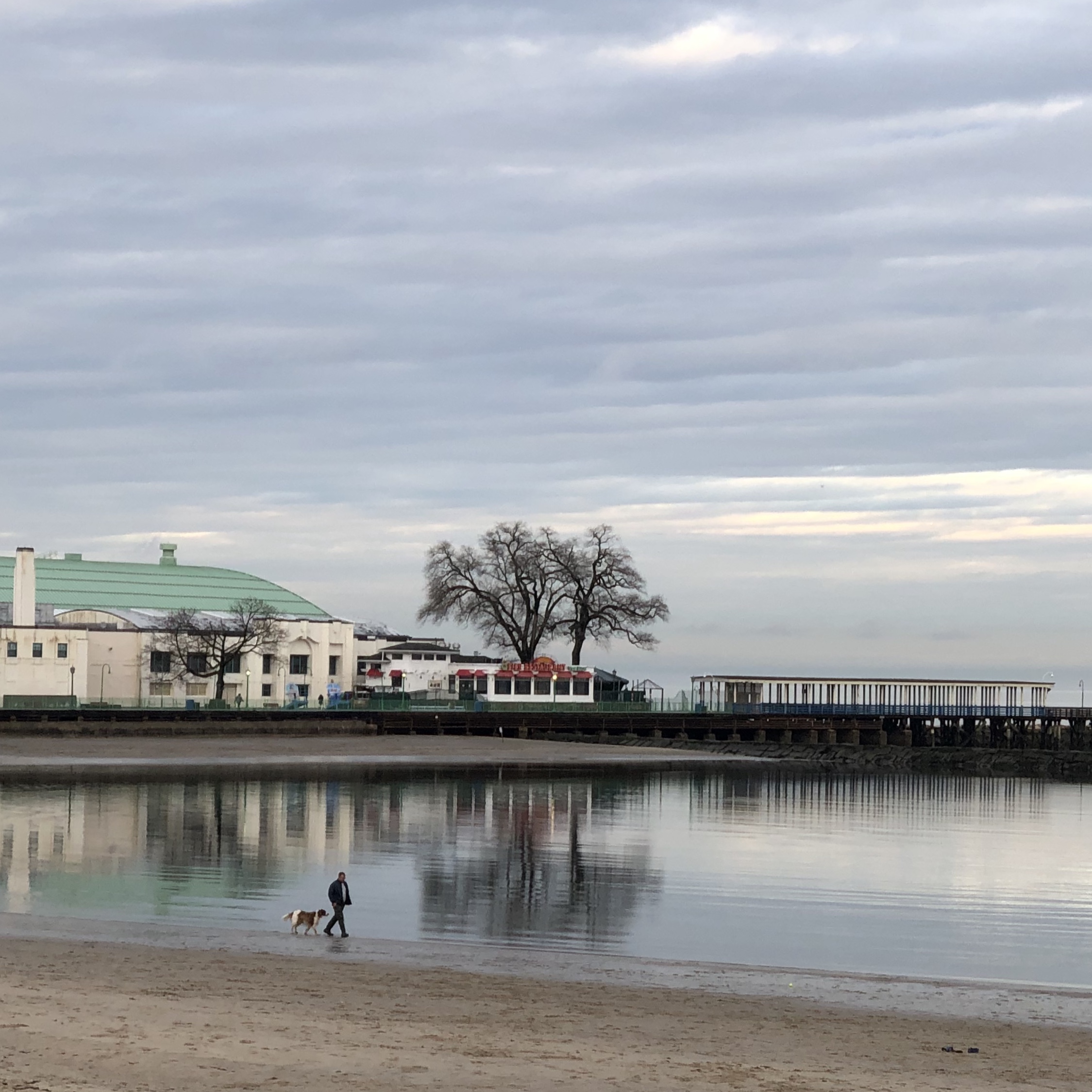 A person walks a dog along a calm, empty beach on Long Island Sound.