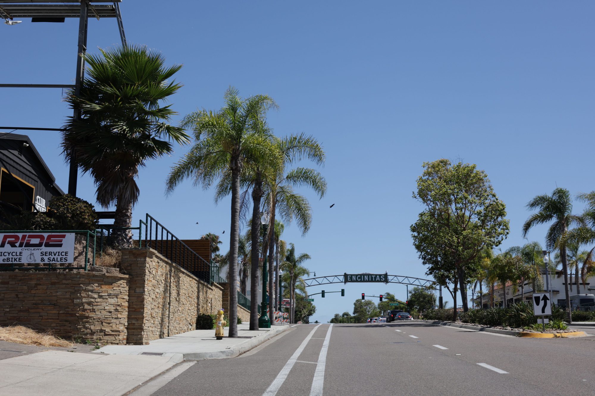 Sunny day street scene with the iconic Encinitas sign and palm trees in California.