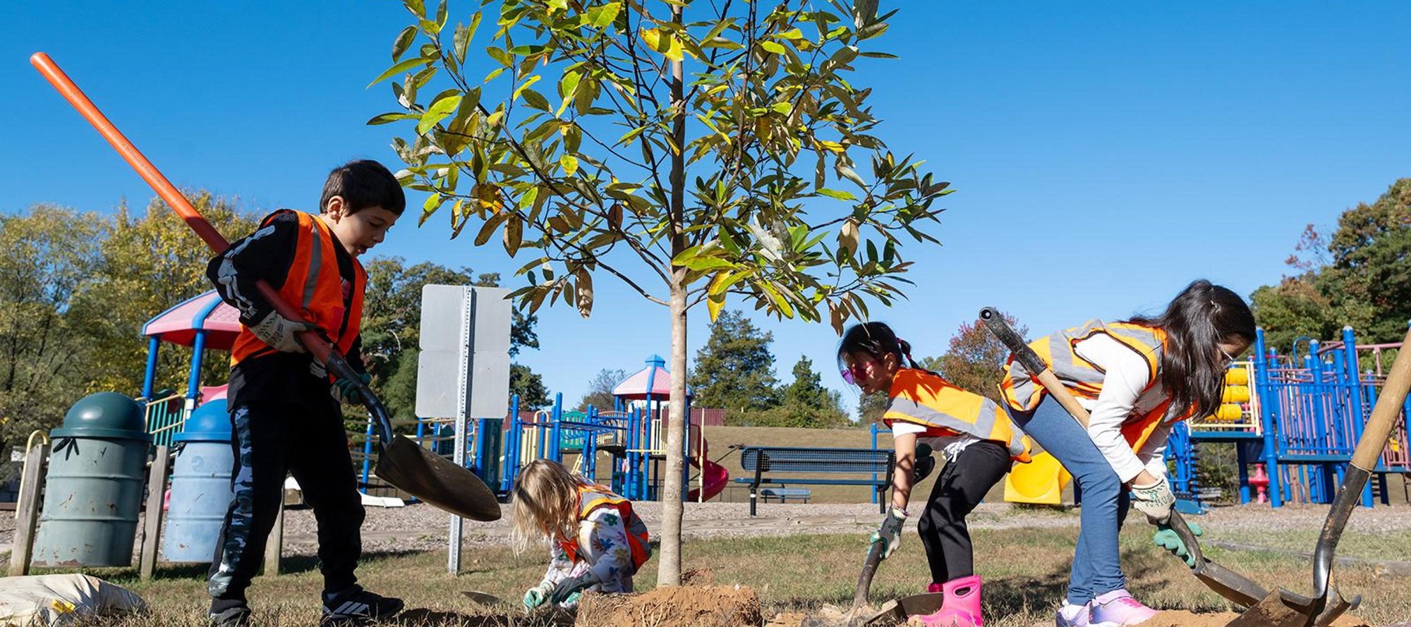 Three children in orange safety vests use shovels to plant a young tree near a playground.