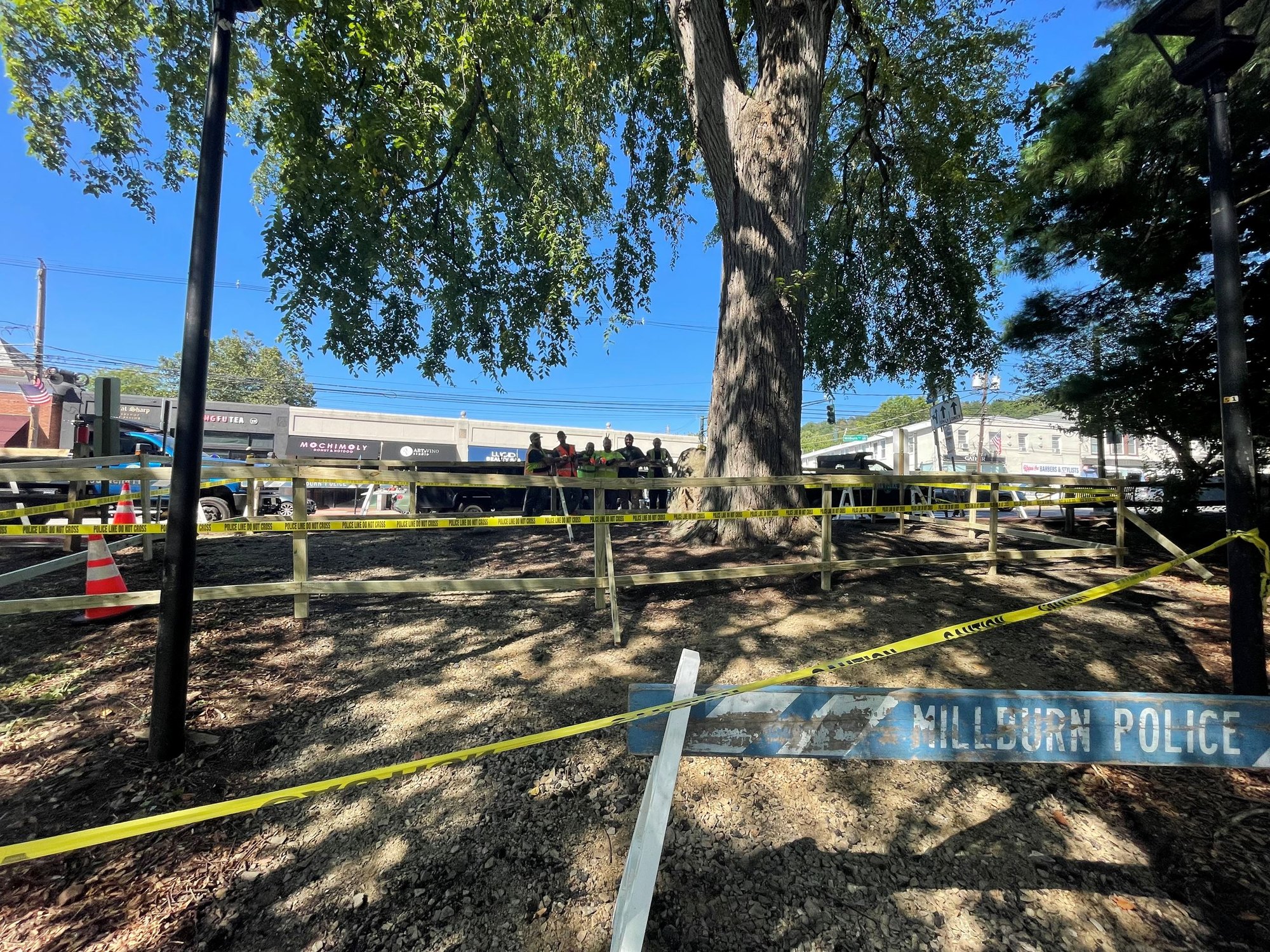 Fenced construction area with yellow caution tape around a large tree near storefronts.