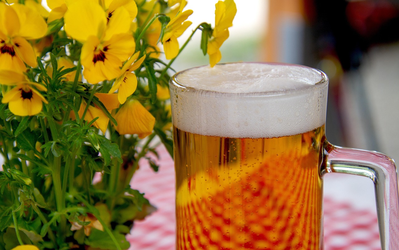 Beer, glass, drink, beer garden, refreshment, thirst, alcoholic, thirst quencher, prost, head, to celebrate, oktoberfest