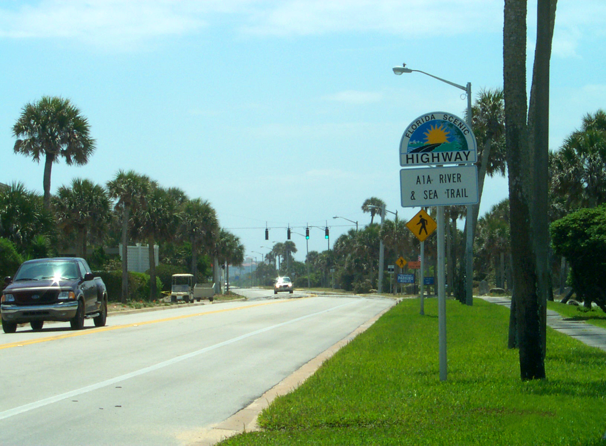 Roadside sign for Florida's A1A Scenic Highway on a palm-lined two-lane road.