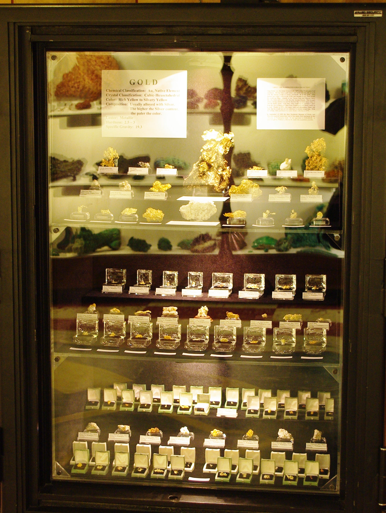 Illuminated glass display case holding rows of gold mineral specimens inside a museum.