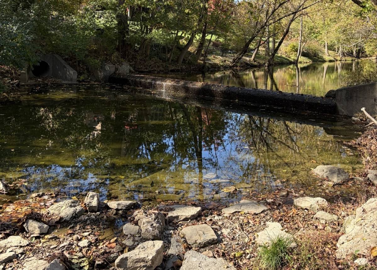 A calm, reflective creek lined with rocks and surrounded by trees, with drainage culvert pipes visible in the background.