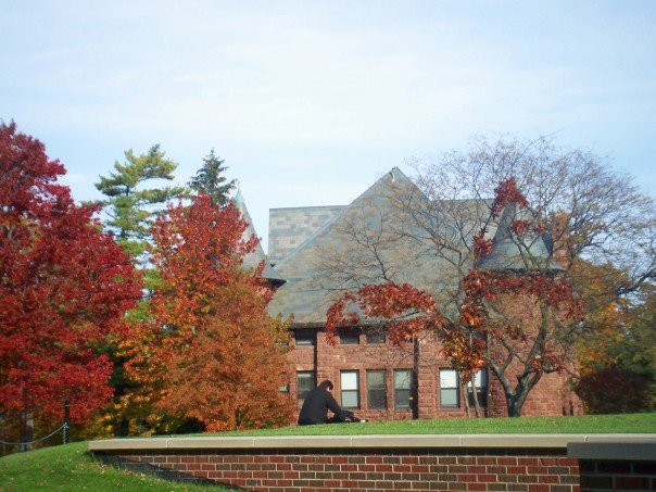 Brick college building surrounded by autumn foliage with a student seated on the lawn.