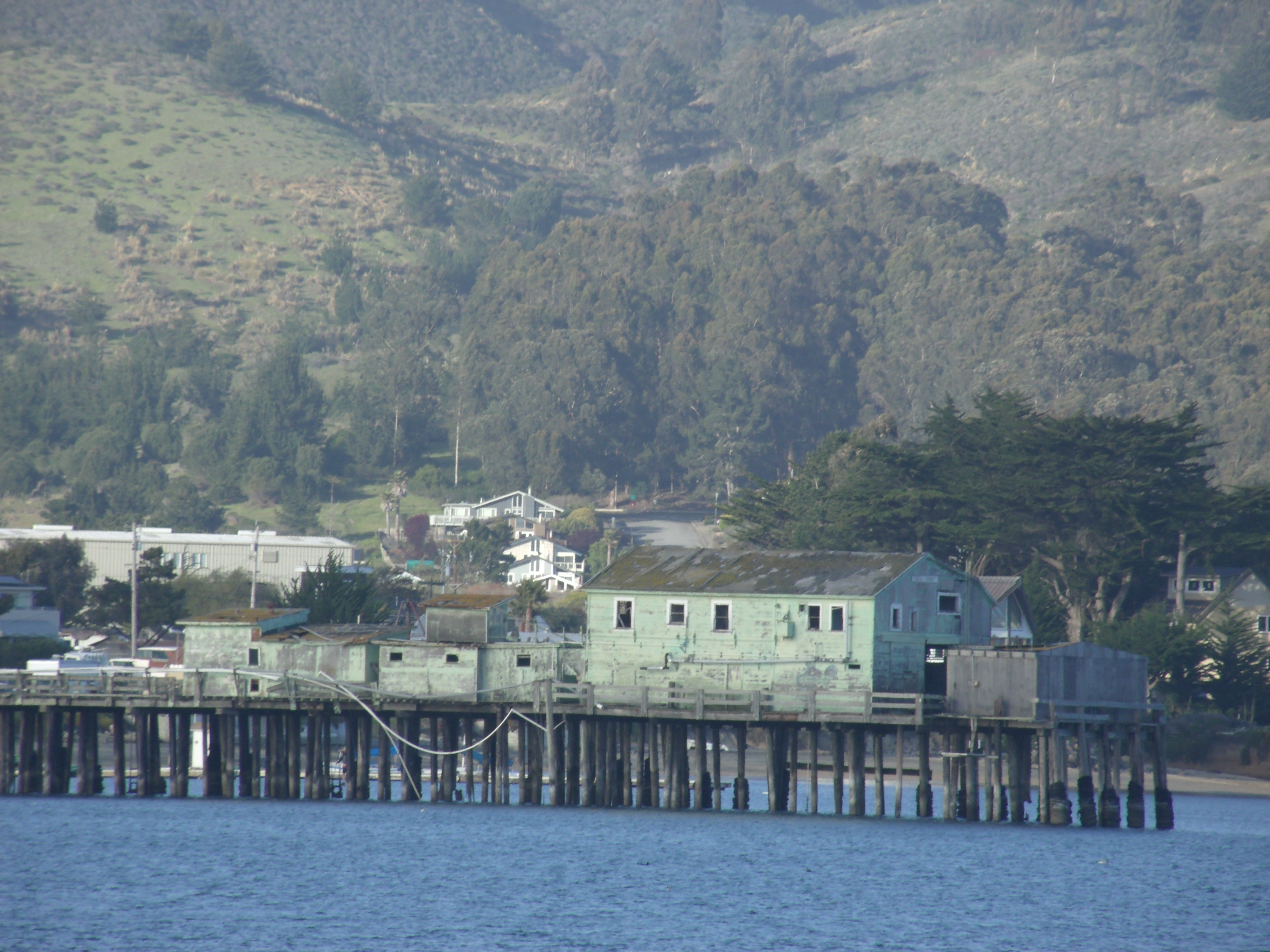 Weathered green pier buildings on wooden pilings over calm harbor water.