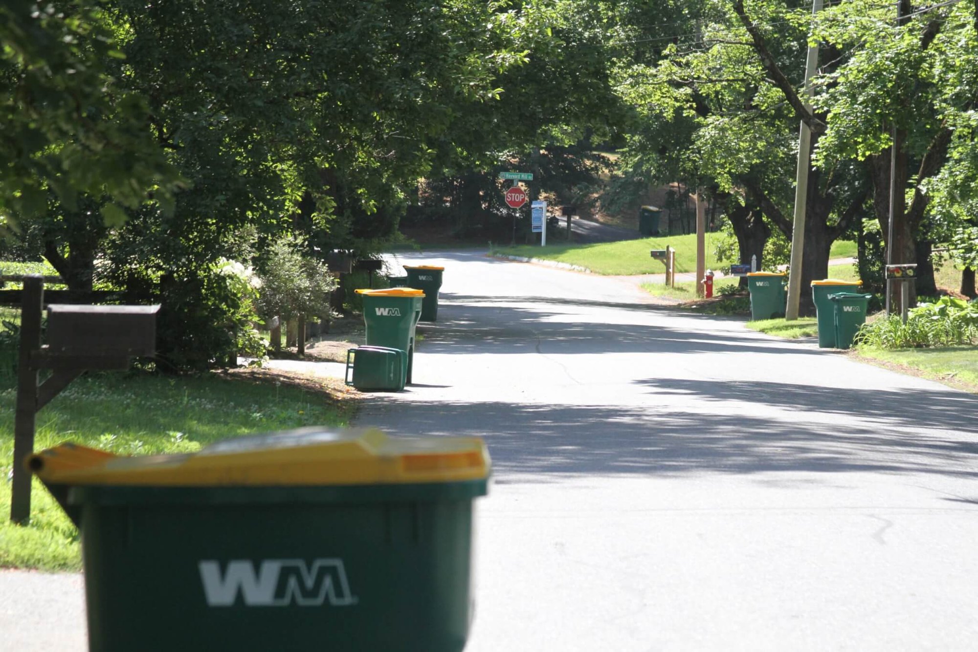 Green Waste Management bins with yellow lids lined up along a tree-lined residential street.