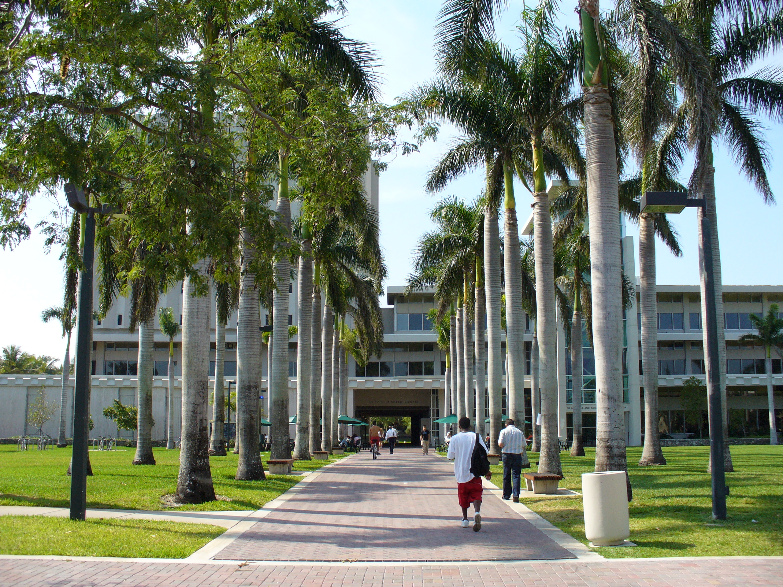 Palm trees lining a brick walkway toward a university library building with pedestrians walking.