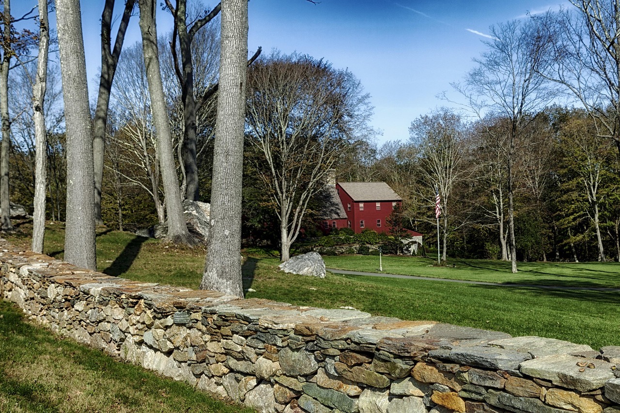 Connecticut, house, home, forest, trees, stone wall, nature, outside, connecticut, connecticut, connecticut, connecticut