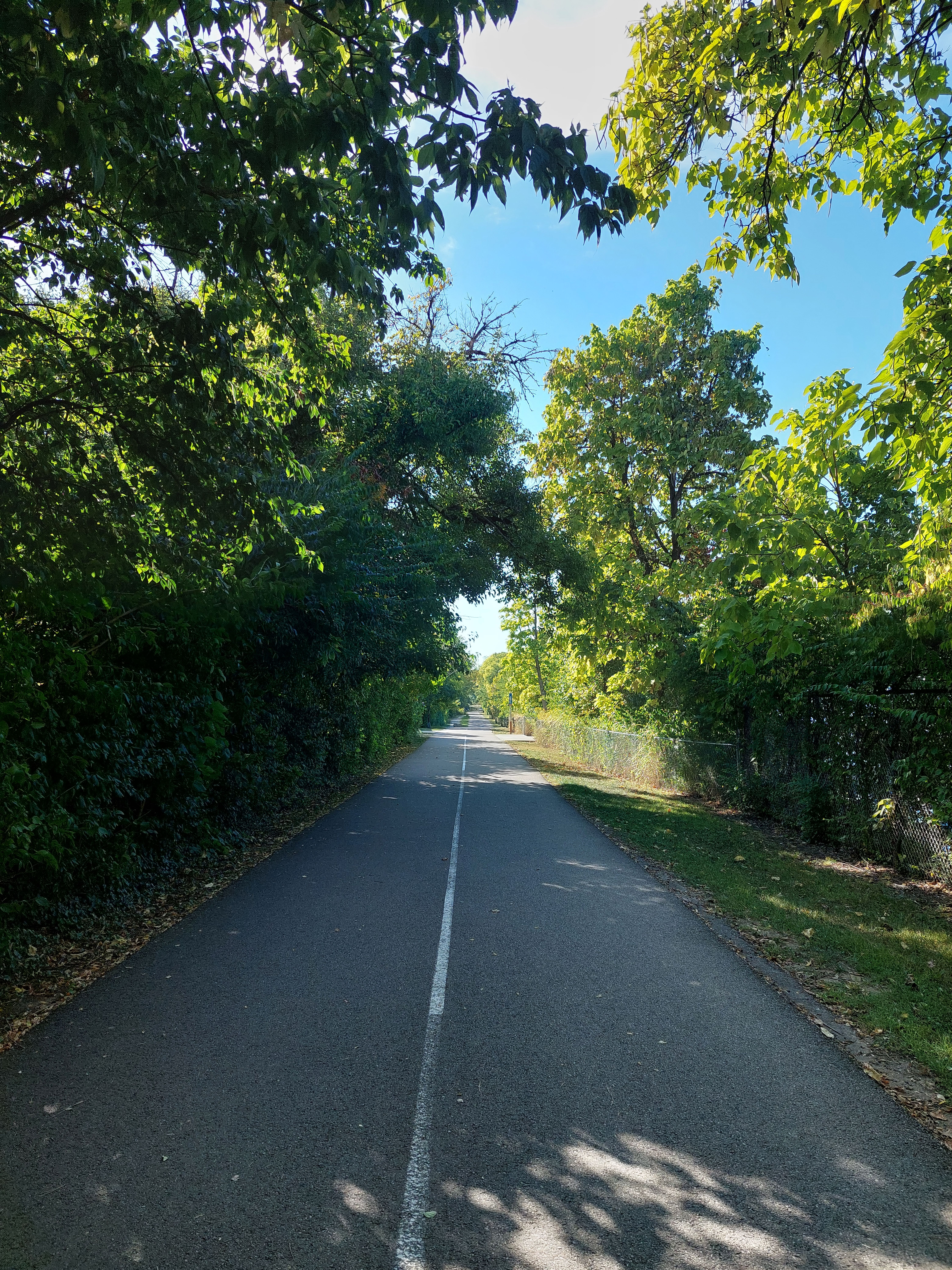 Paved trail lined with green trees under a clear blue sky.