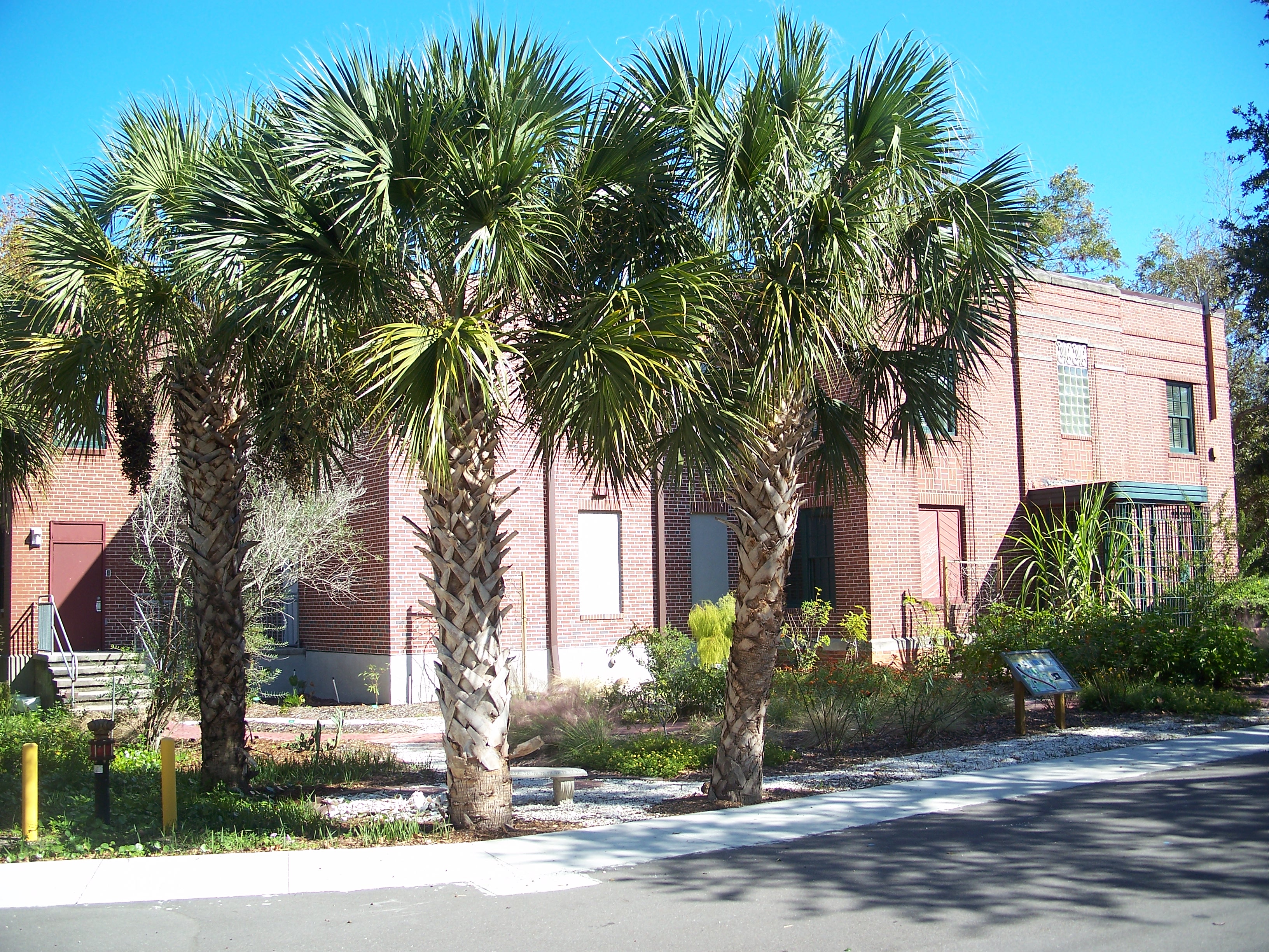 Two-story red brick building with tall palm trees, identified as a museum of history.