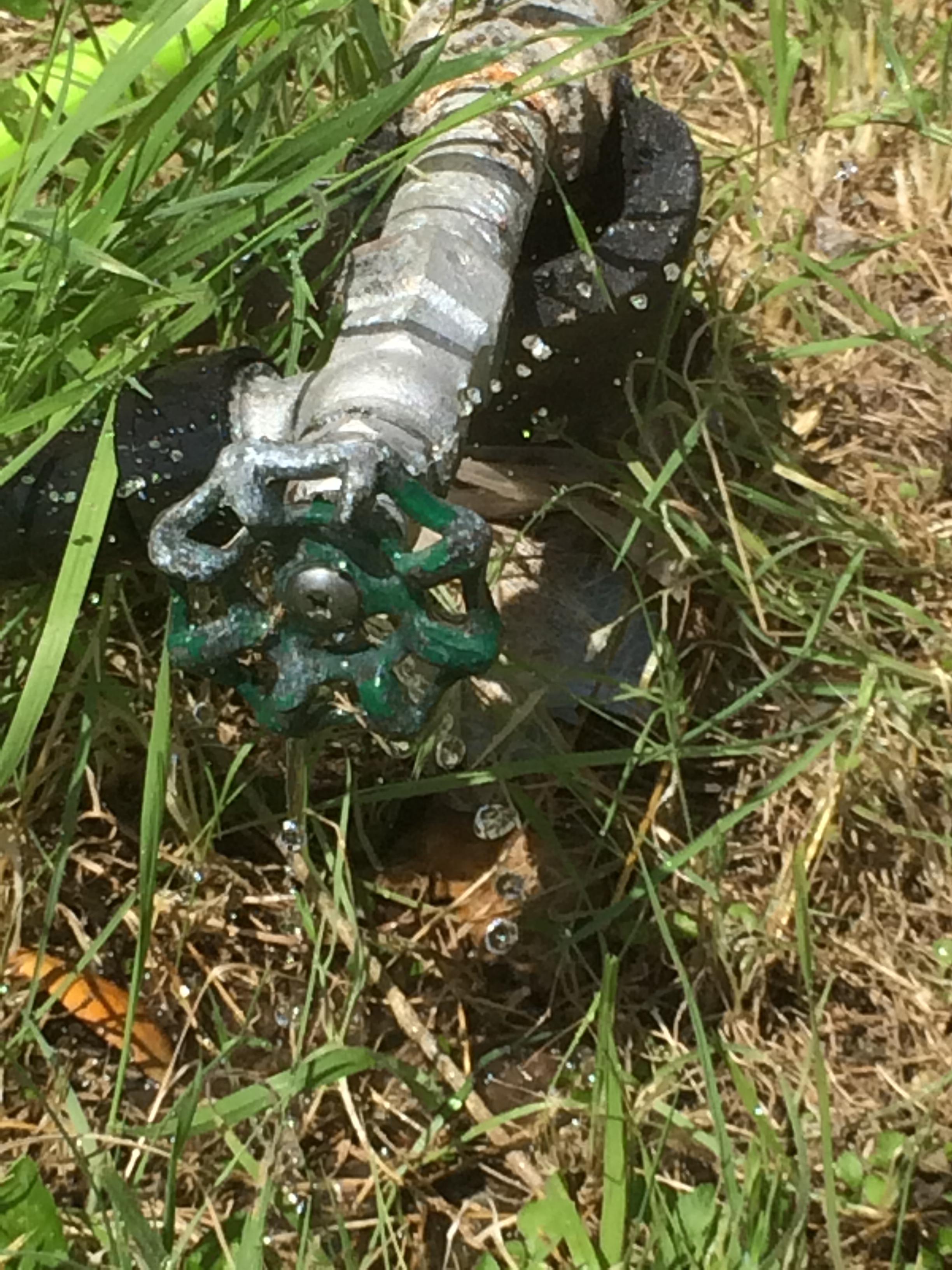 Metal outdoor water spigot with green valve handle and black hose in grass.