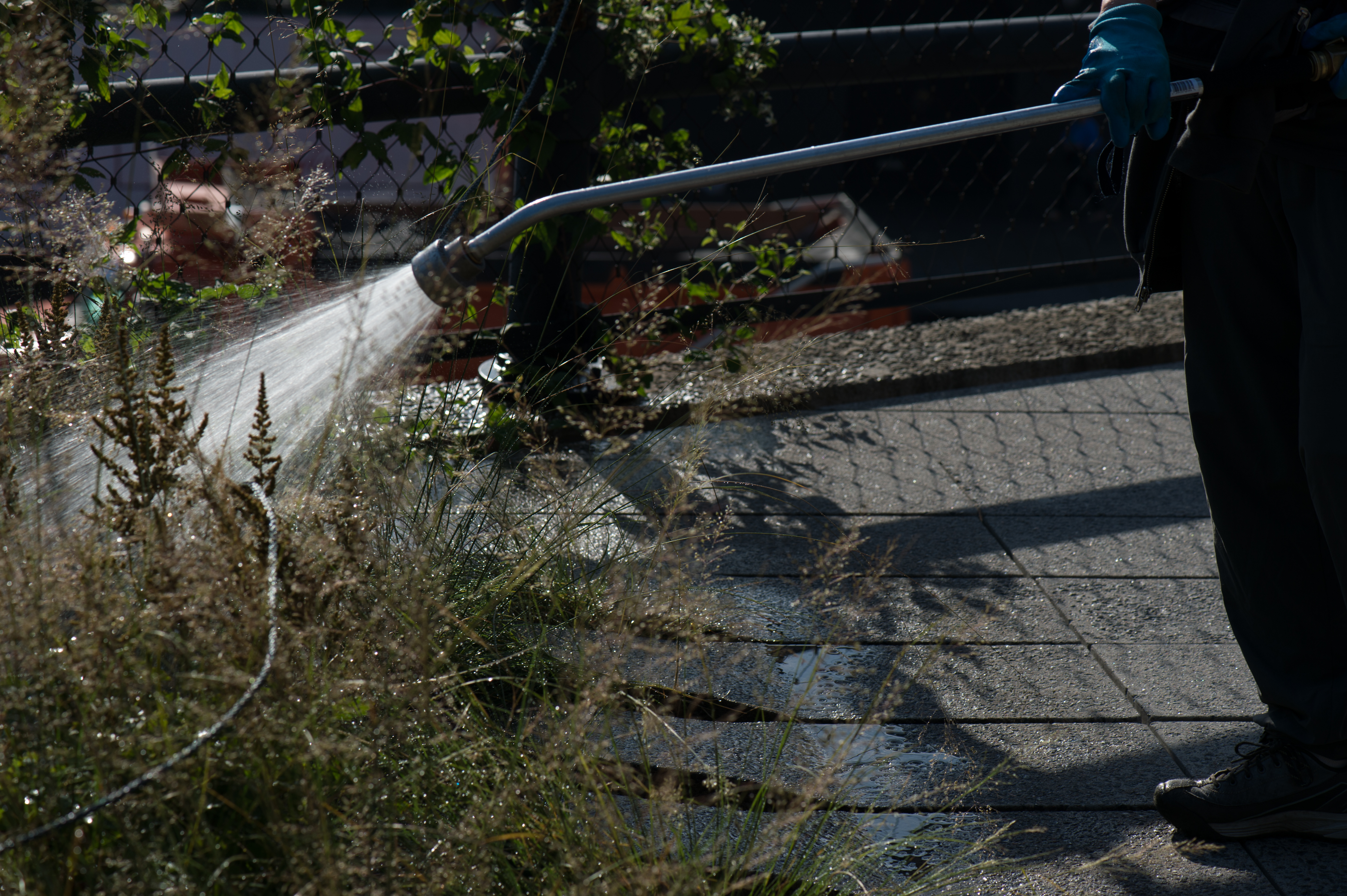 A gloved person waters plants along a paved urban park path with a hose wand.