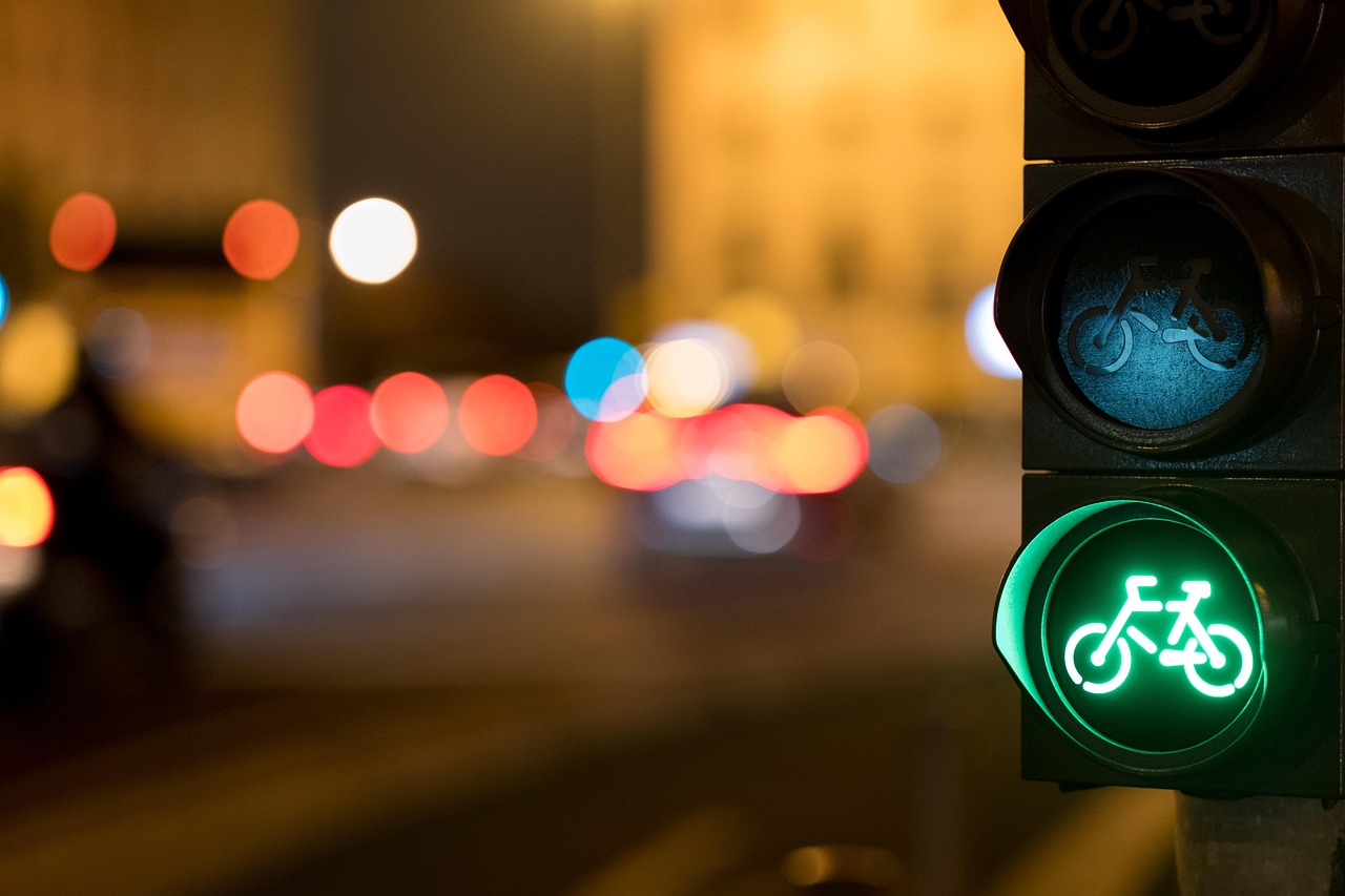 A bike lane traffic light.