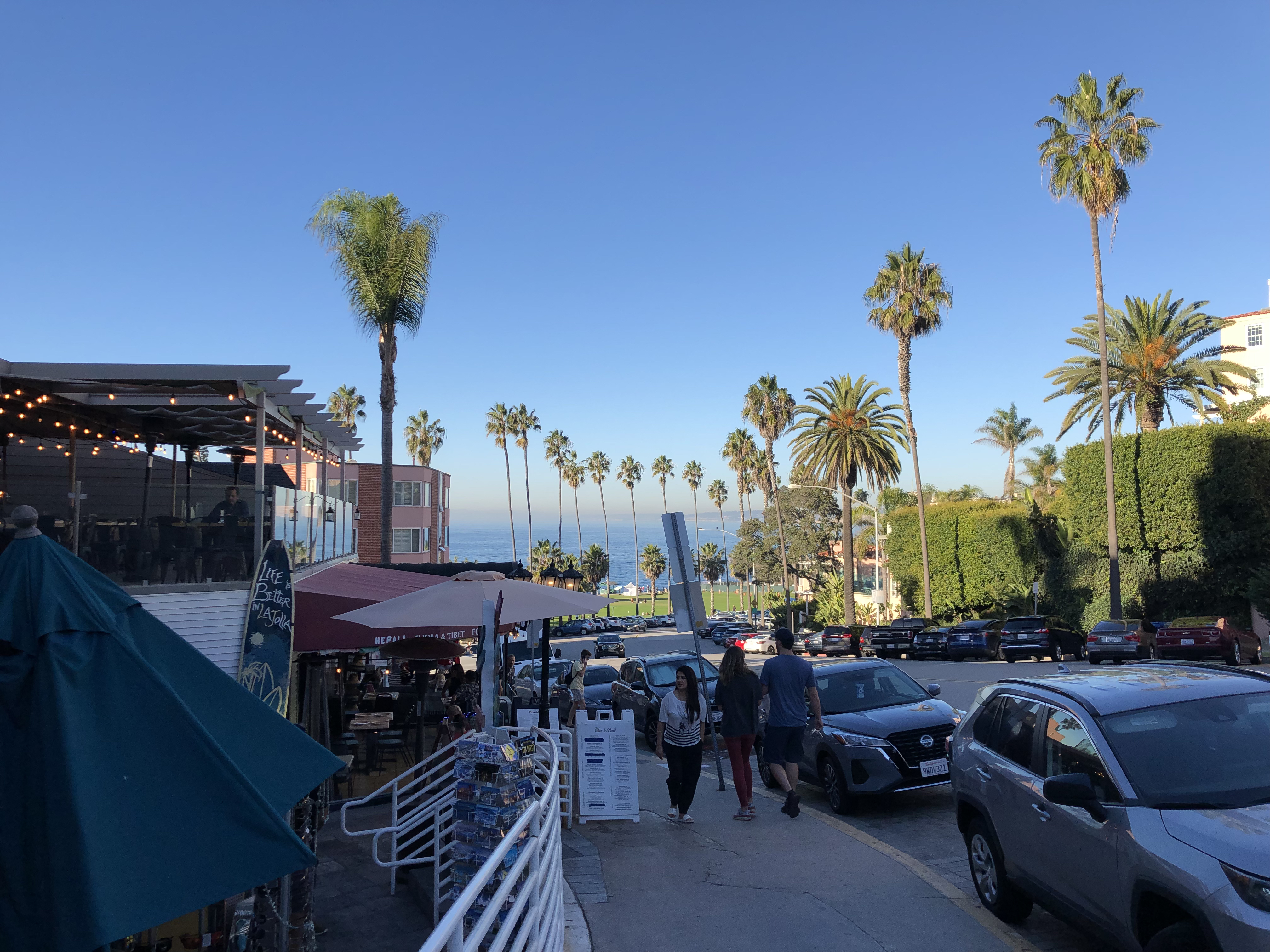 Palm-tree-lined La Jolla street with outdoor dining, shops, and ocean view.