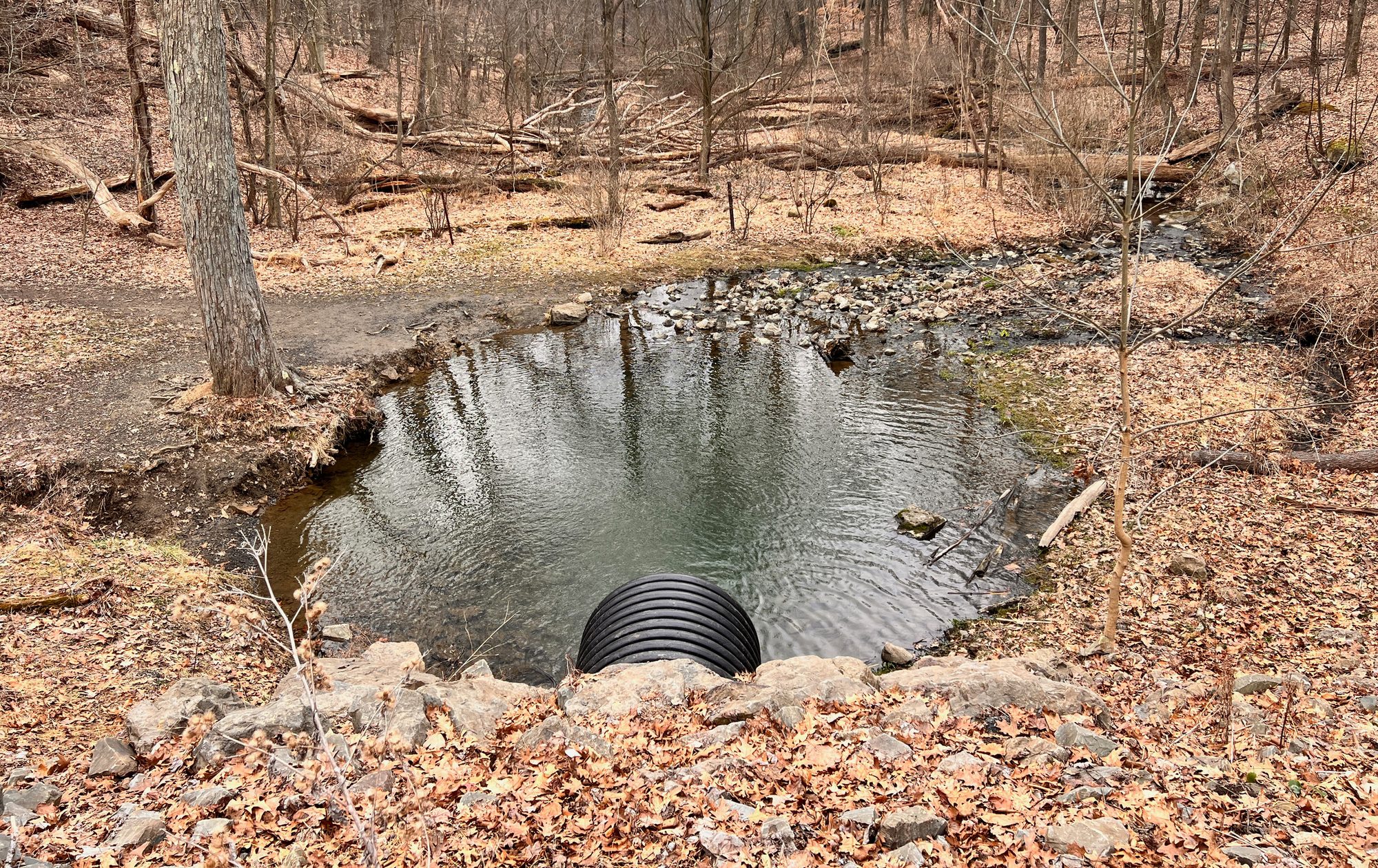 Stormwater Pond