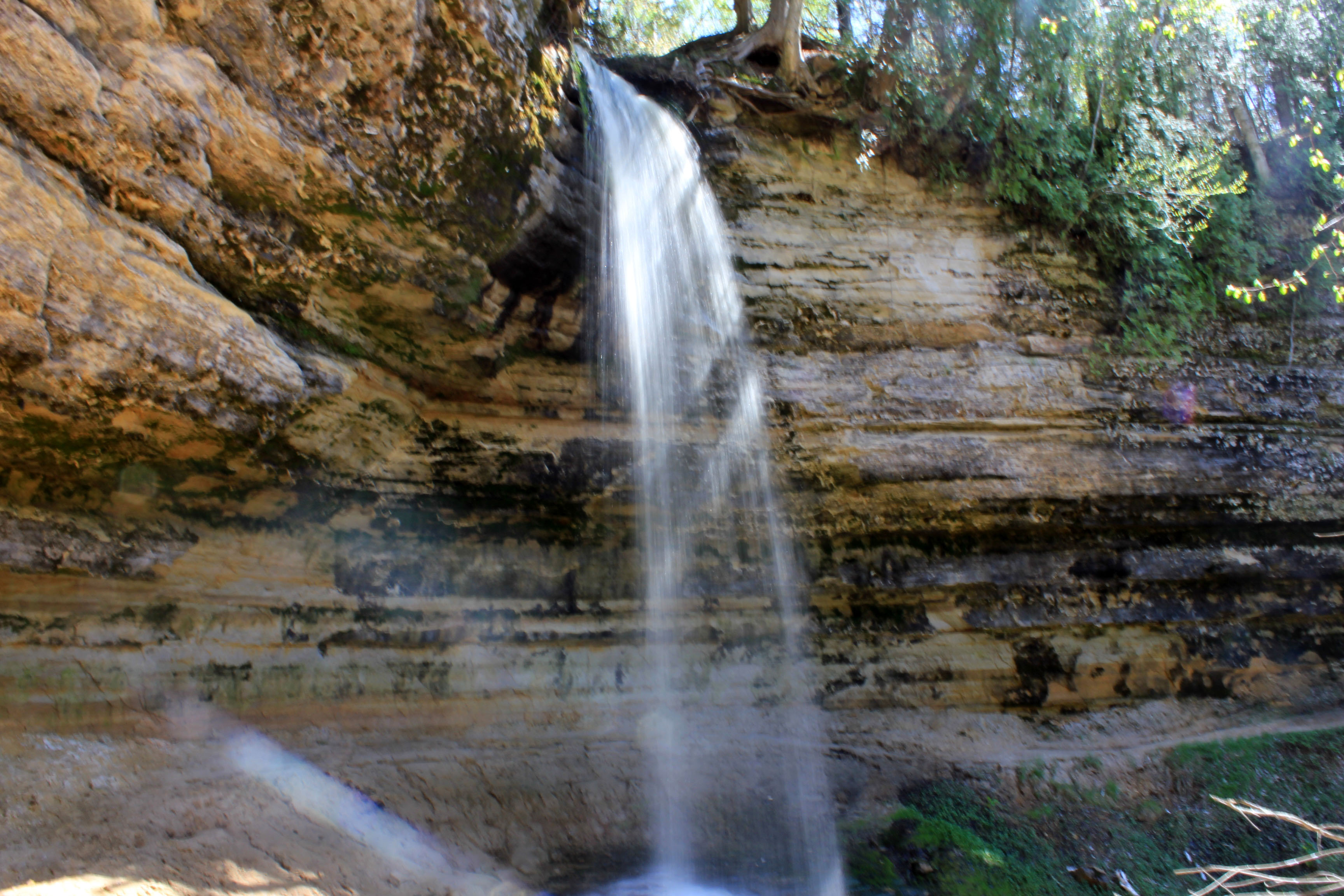 Waterfall cascading down a layered sandstone cliff face surrounded by forest.