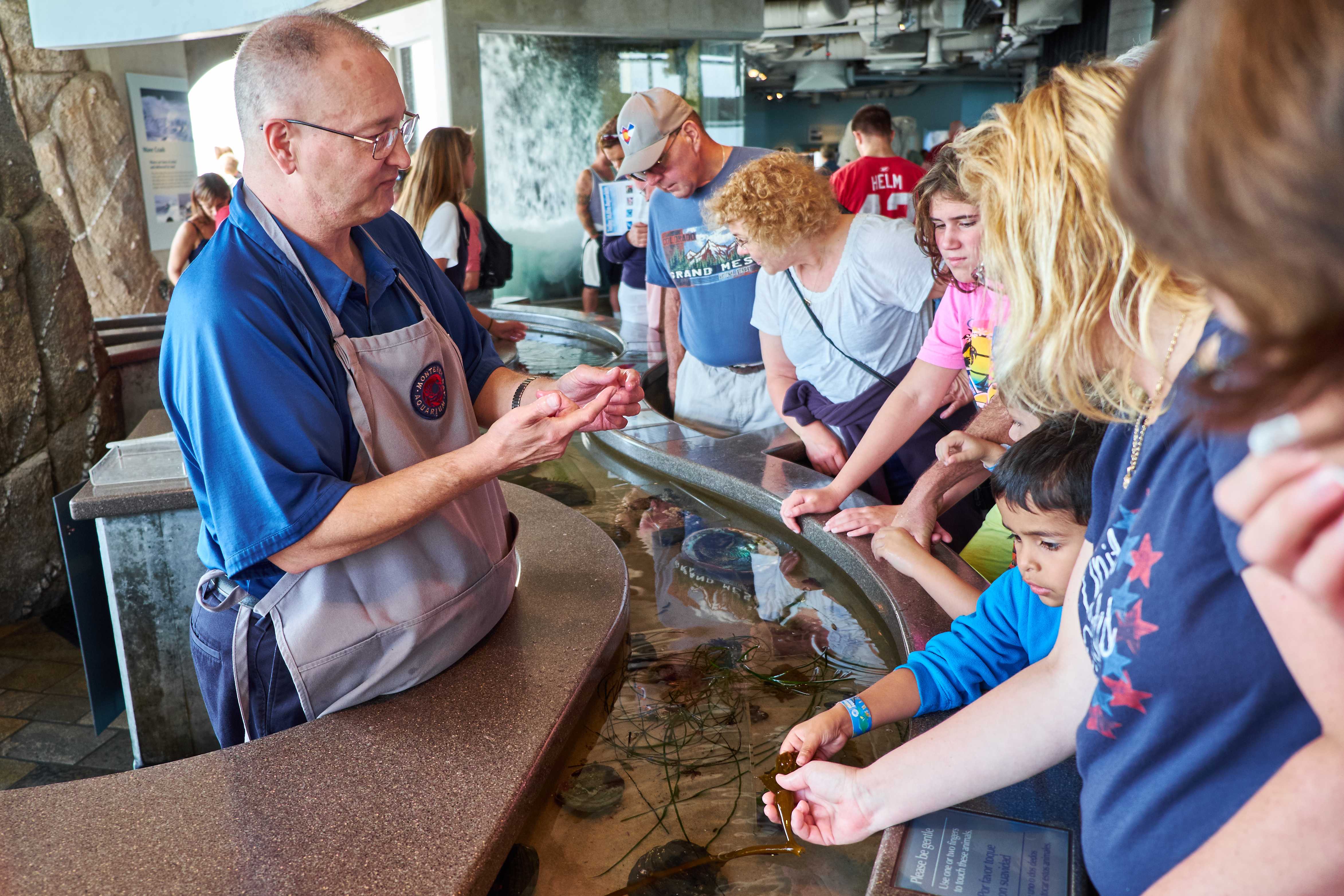 Adults and children reach into an open-top touch tank at an aquarium exhibit.
