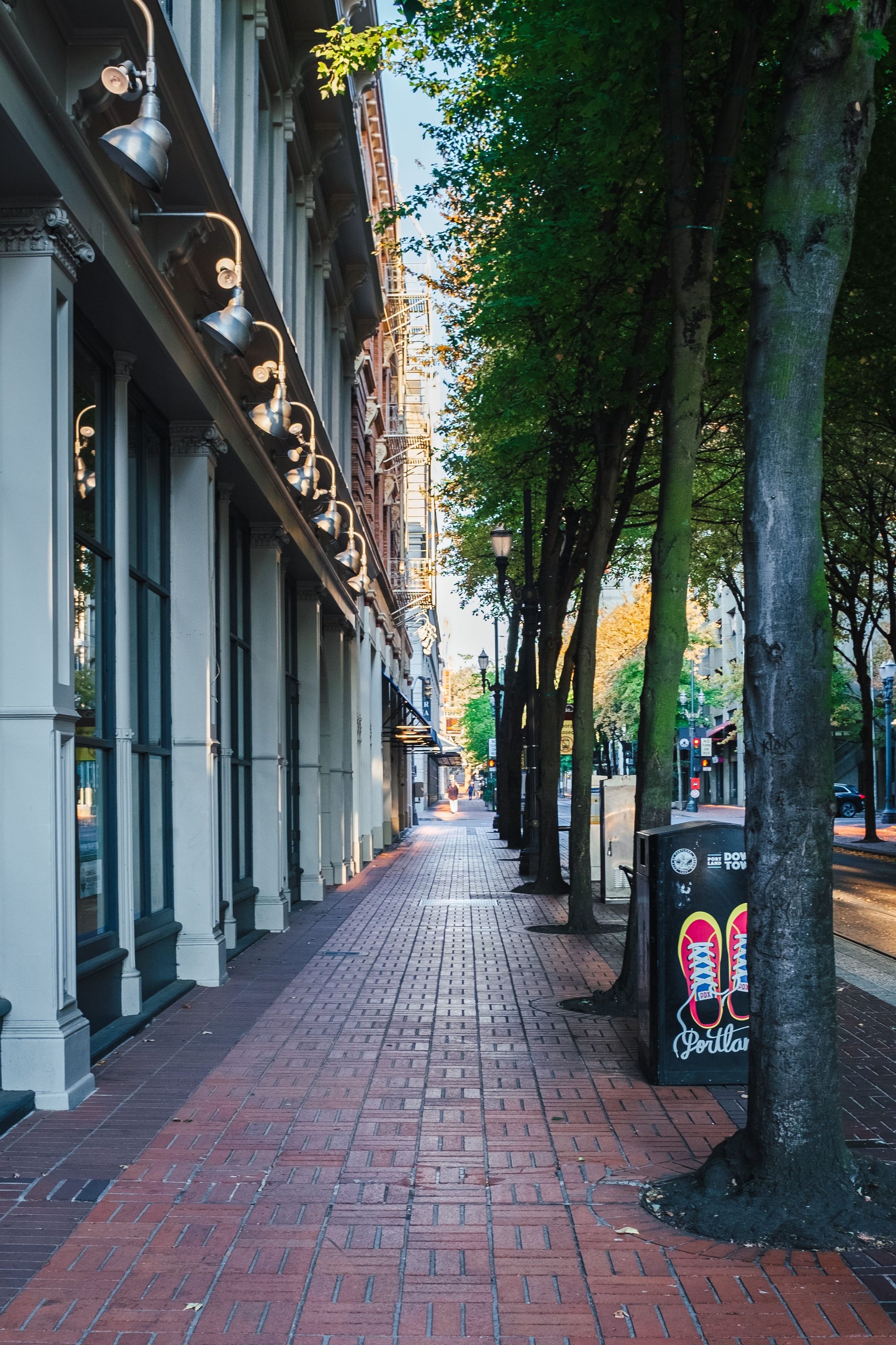 Sunlit city sidewalk with lush trees and classic architecture. Ideal for urban exploration imagery.