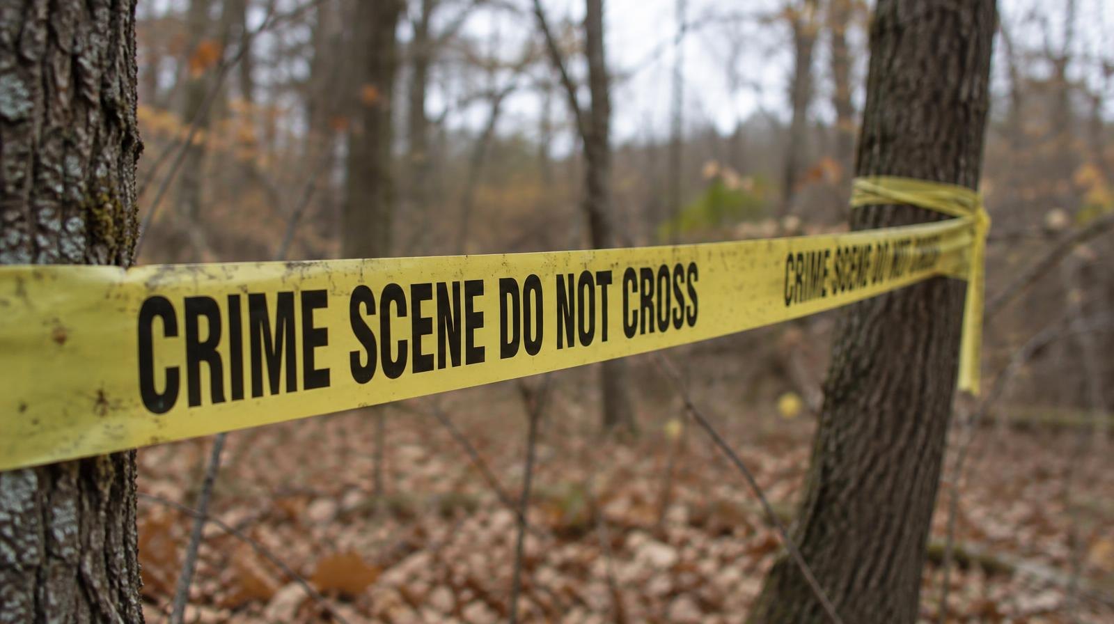 Yellow police tape tied between tree trunks at the edge of a wooded area with fallen autumn leaves.