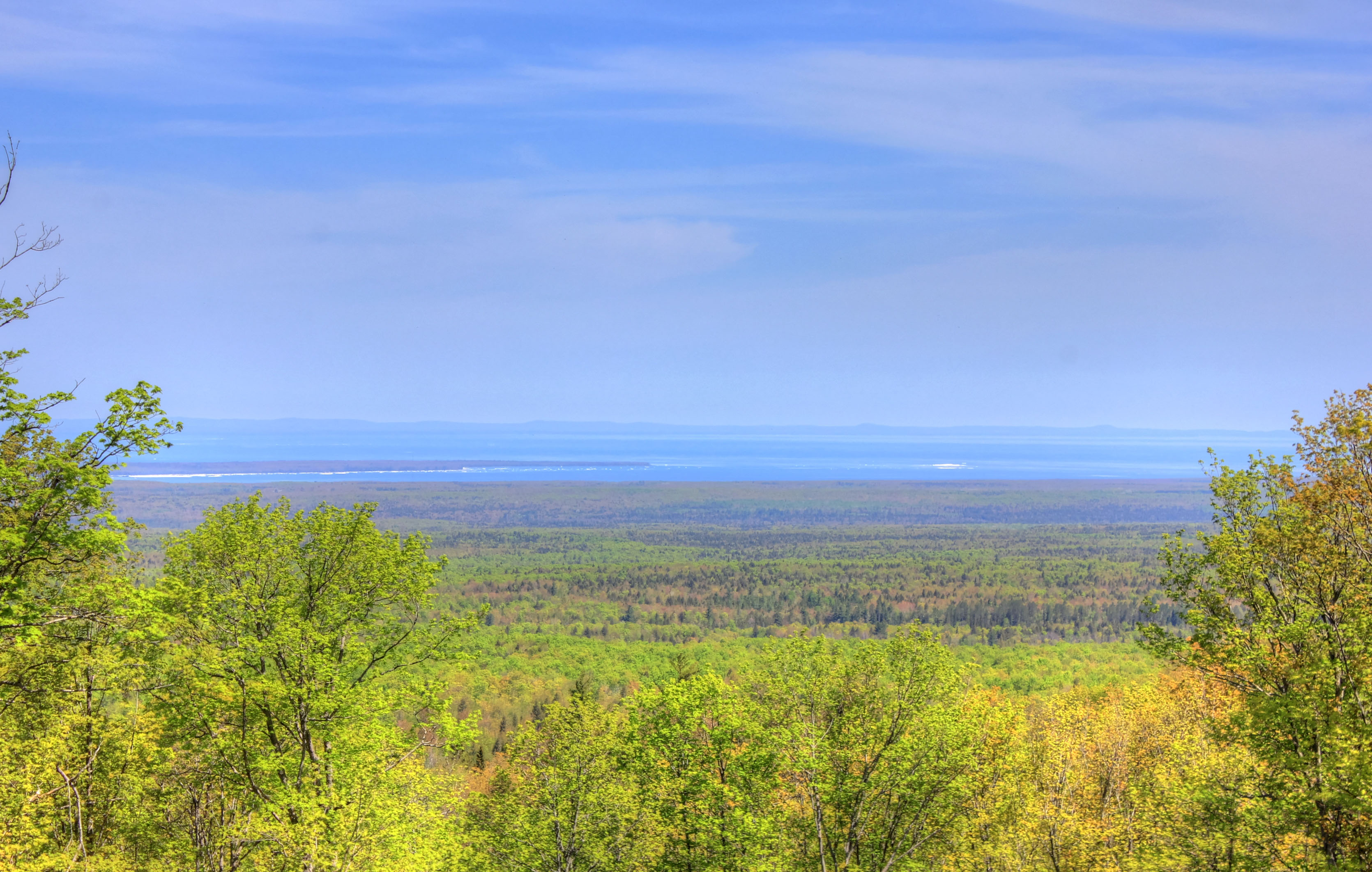 Panoramic view of dense mixed forest from a hilltop, with a large lake visible in the distance.