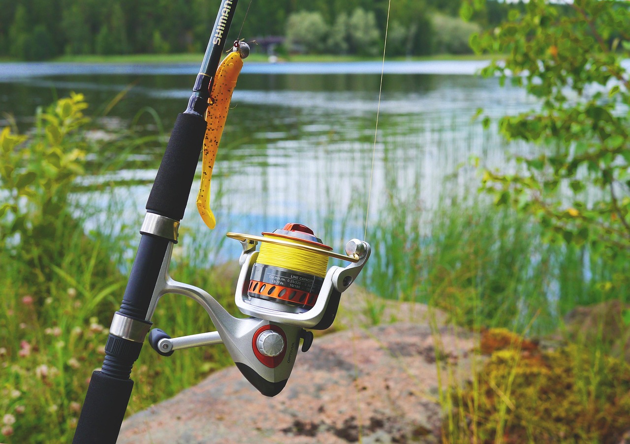 Fishing, fishing gear, fishing rod, fishing line, hobby, fishing reel, patience, crank, sports, quiet, telescopic rod, r