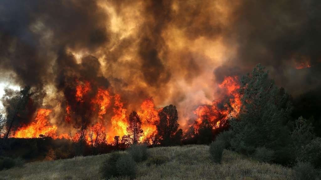 Large wildfire burning through trees and brush on a hillside with heavy smoke.