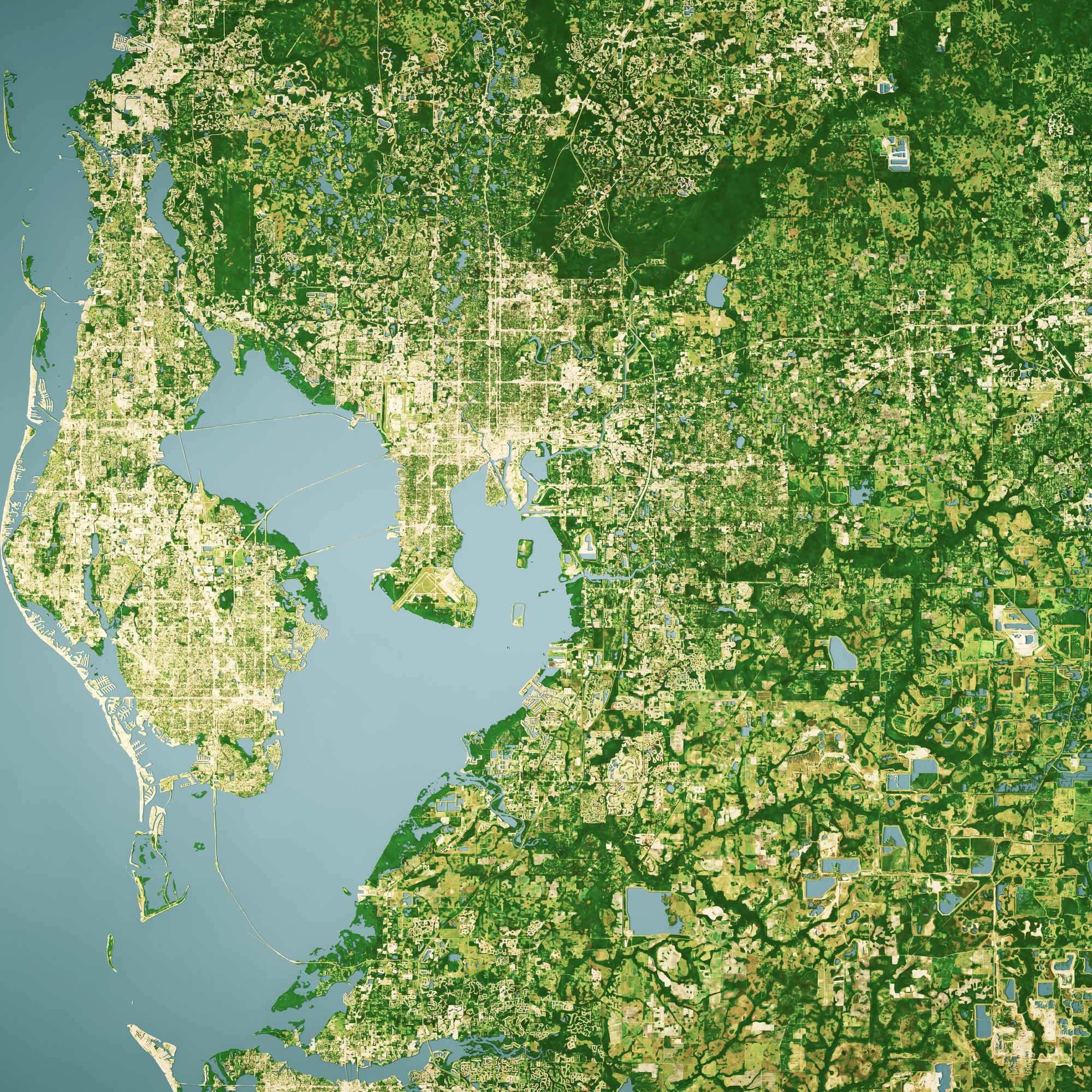 Hillsborough County FL Satellite Topographic Map 3D Render Color