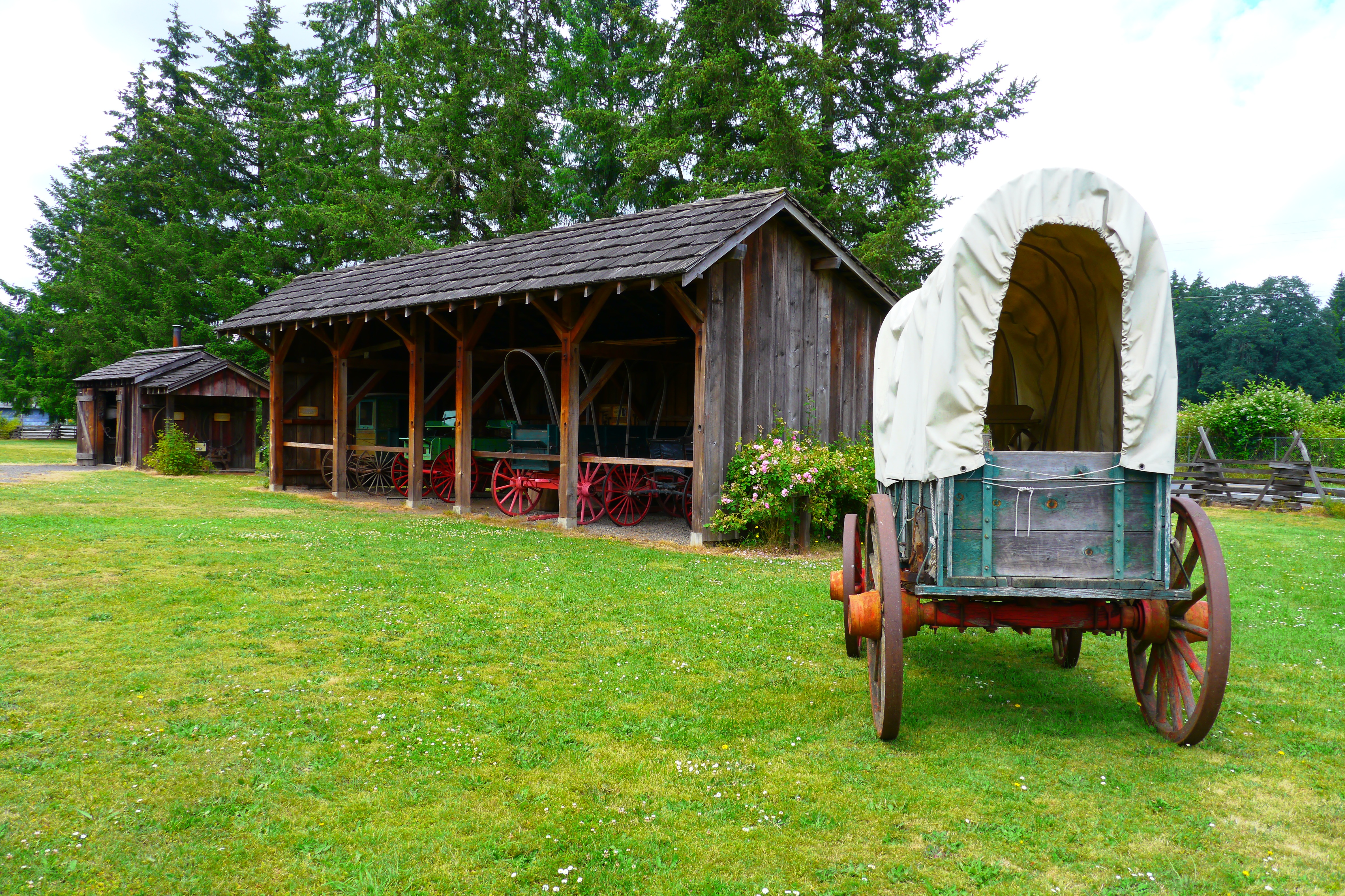 A covered wagon with canvas top and wooden wheels on a green lawn beside a rustic open-sided barn.