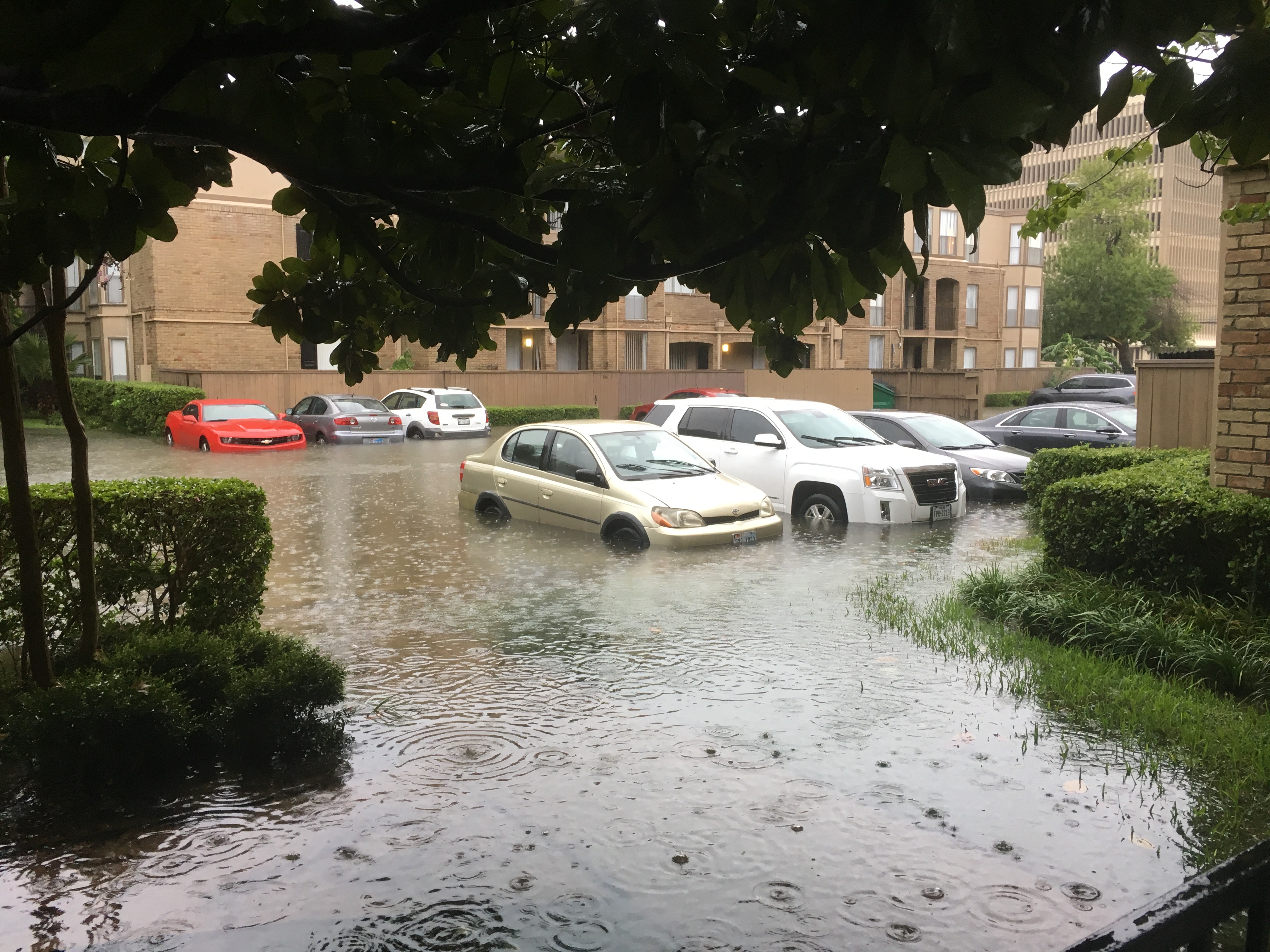 Several cars partially submerged in a flooded parking lot during heavy rain.