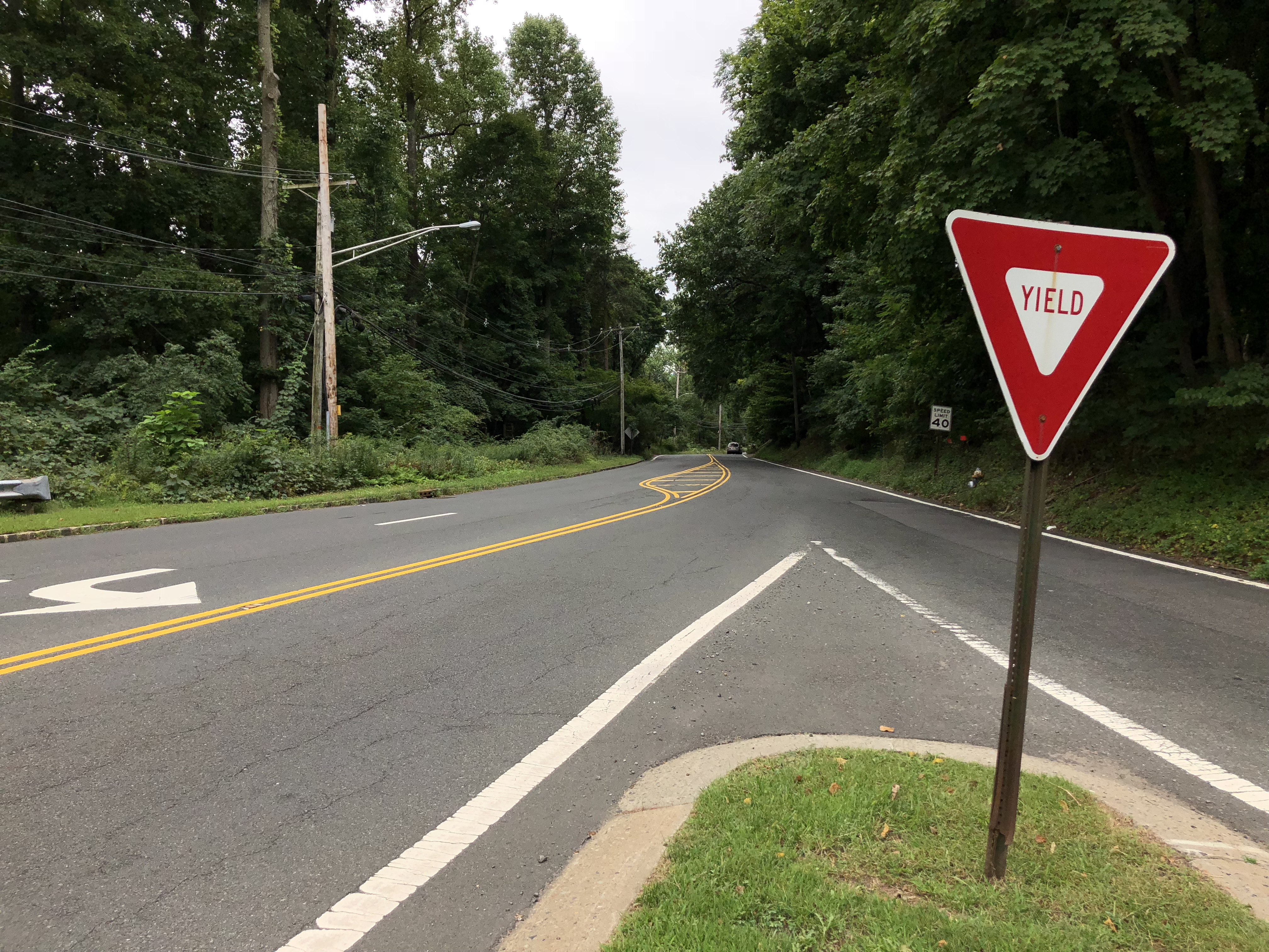 A tree-lined two-lane road with a yield sign at an intersection in Chatham Township.