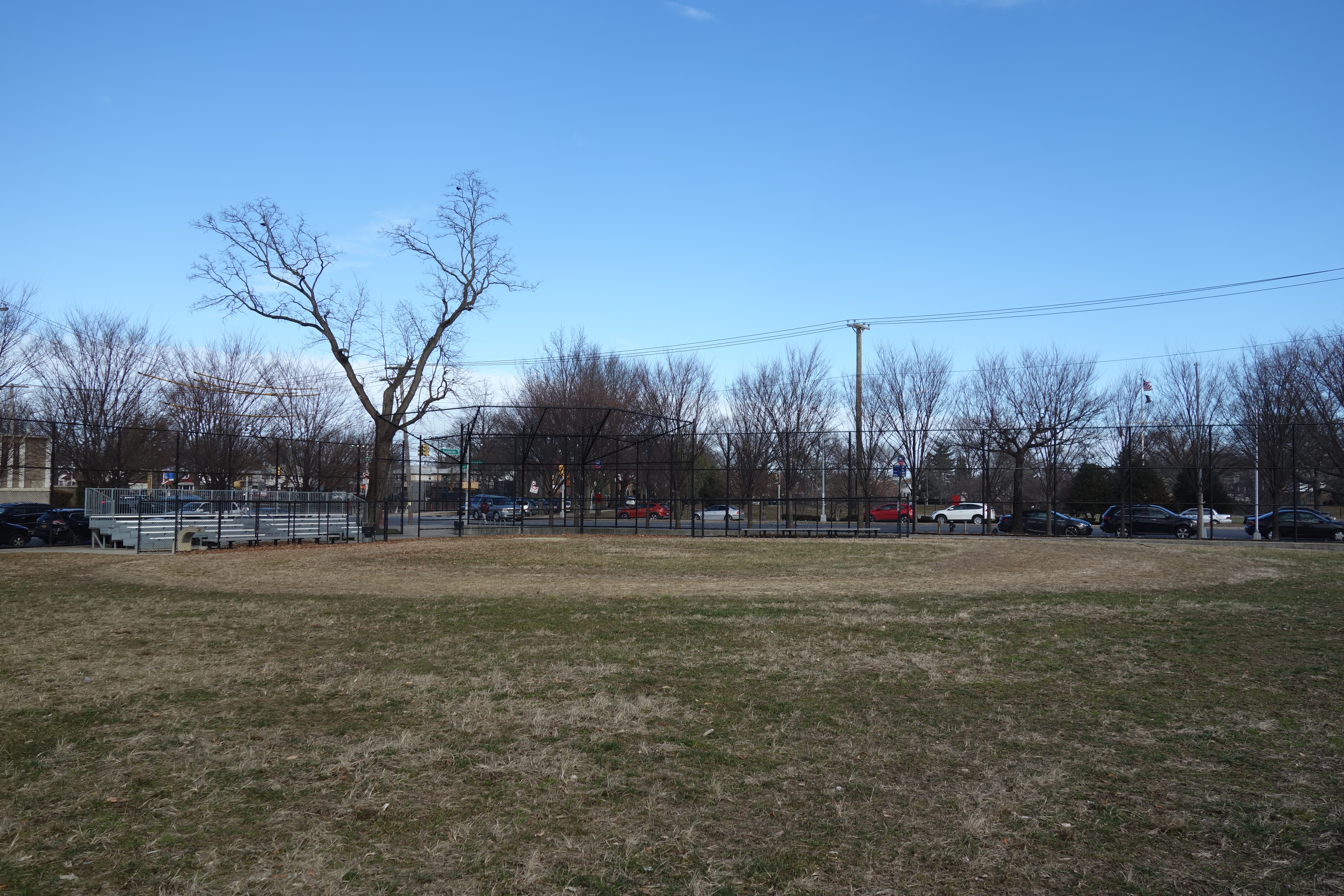 Grass baseball field with chain-link backstop, bare trees, and parked cars beyond the fence.