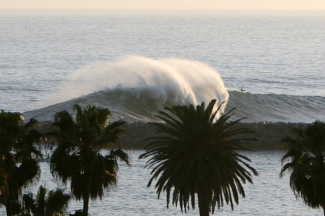 A towering wave crests and breaks at a beach, palm trees silhouetted in the foreground.