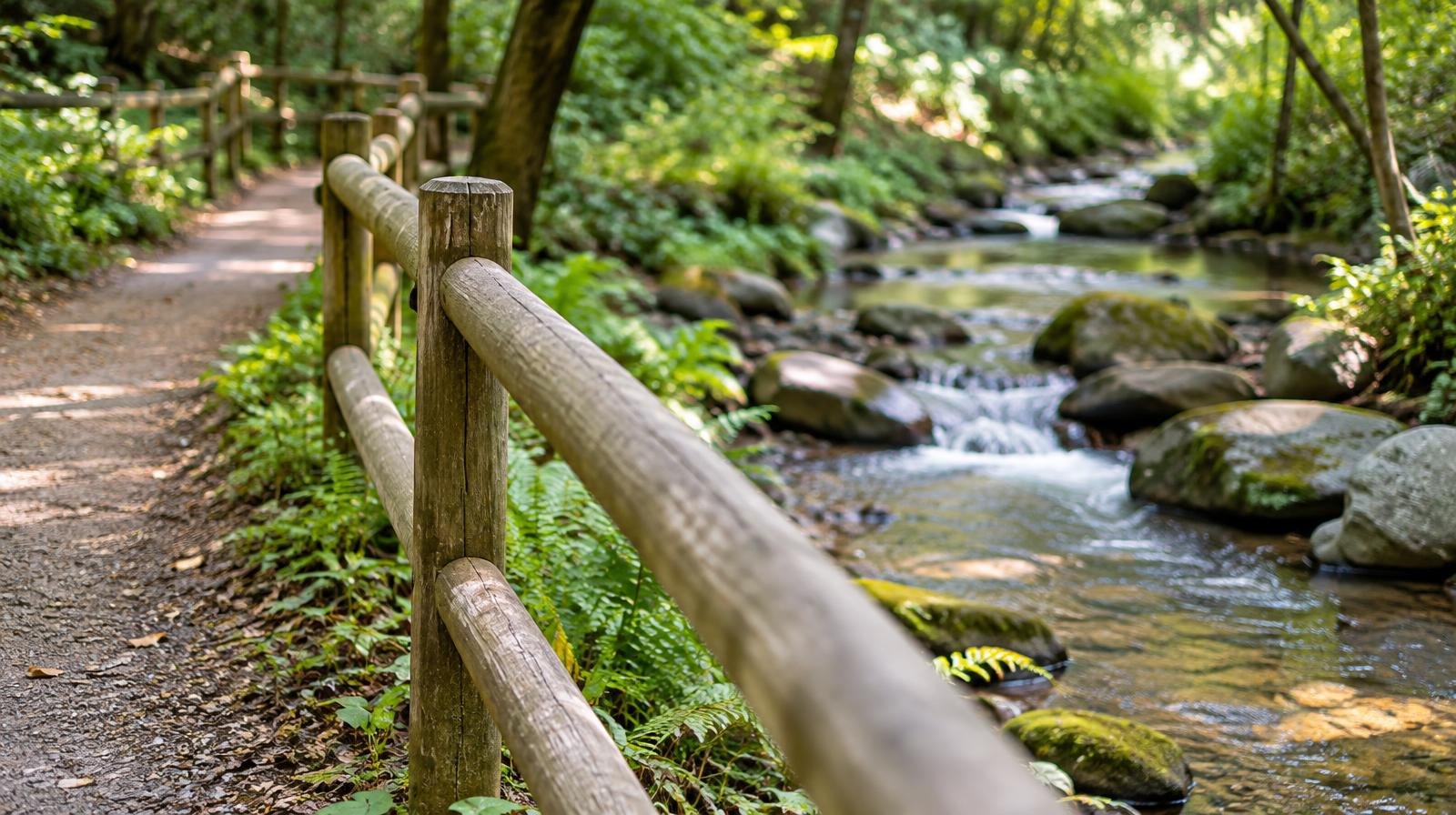 Woodland trail with wooden hand railings beside a clear flowing stream.