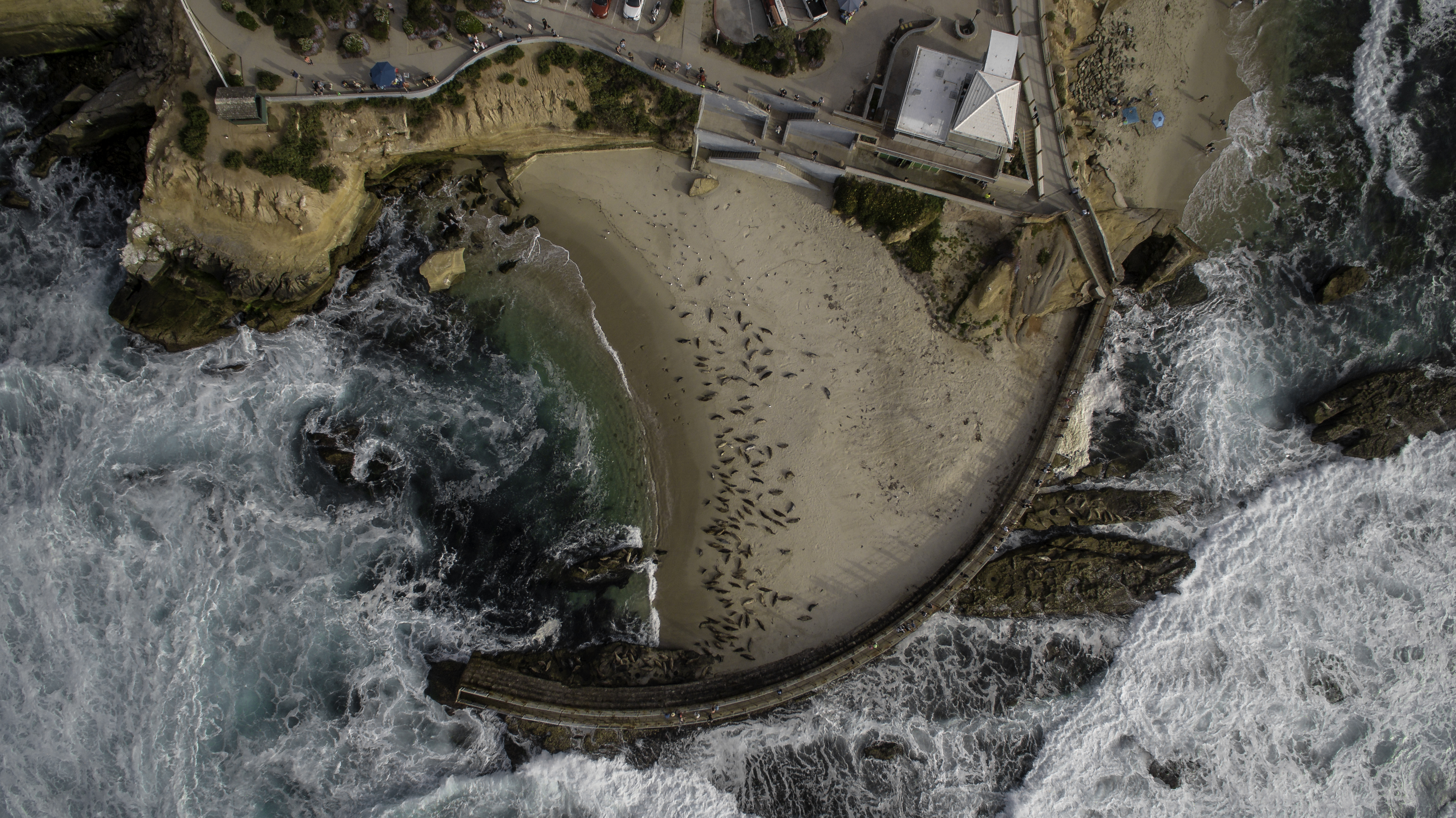 Aerial view of a curved seawall sheltering a small sandy cove with seals on the beach.